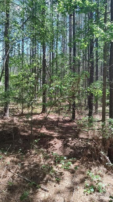 Lot at 105 Cranberry Lane, Mooresboro, photo 19 of 33