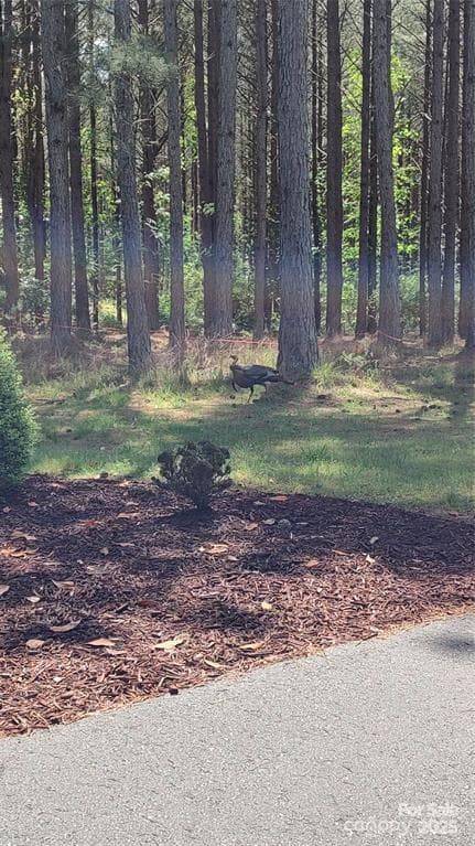 Lot at 105 Cranberry Lane, Mooresboro, photo 20 of 33