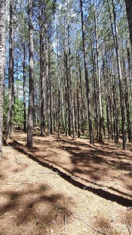 Lot at 105 Cranberry Lane, Mooresboro, photo 21 of 33