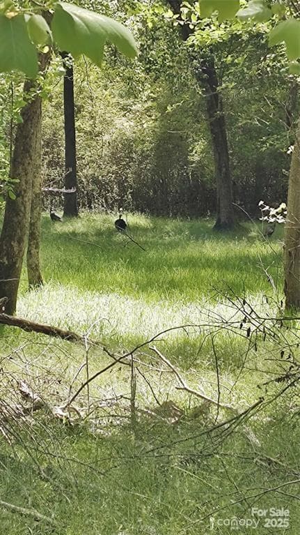 Lot at 105 Cranberry Lane, Mooresboro, photo 26 of 33
