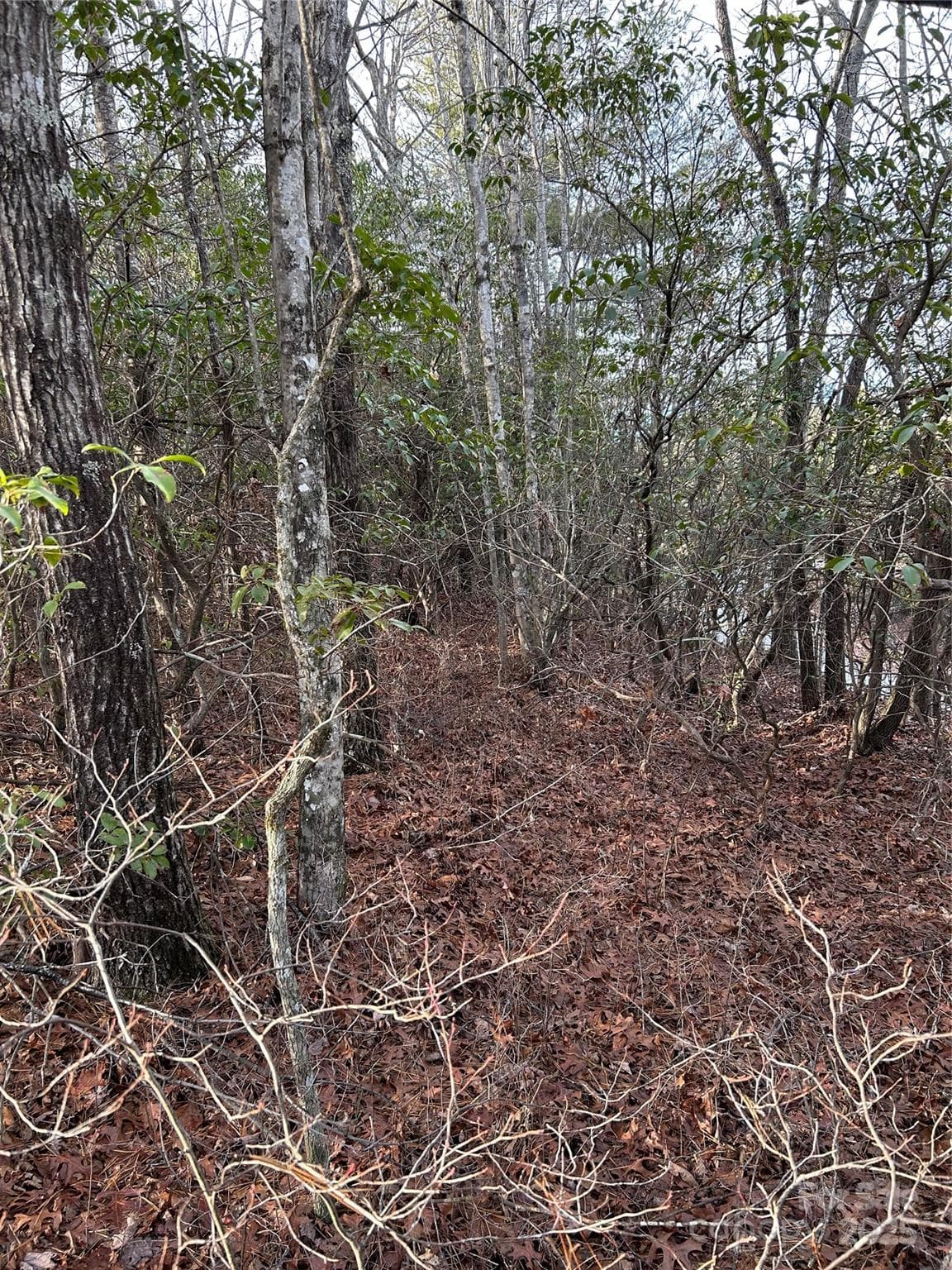 Acreage at Brevard, photo 2 of 23
