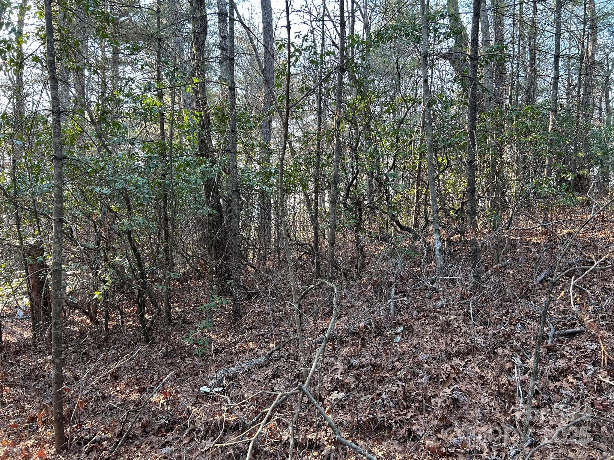 Acreage at Brevard, photo 3 of 23