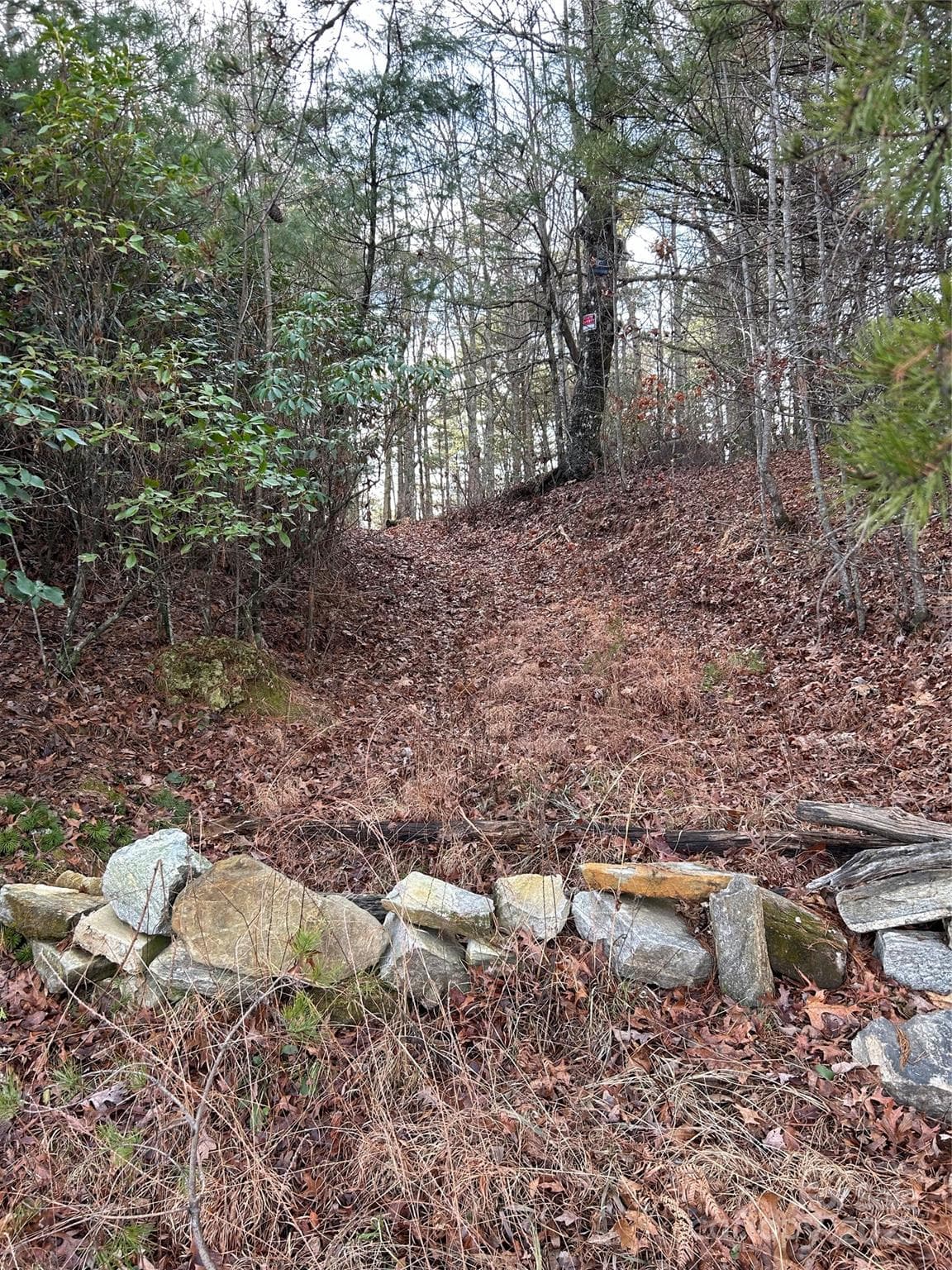 Acreage at Brevard, photo 4 of 23