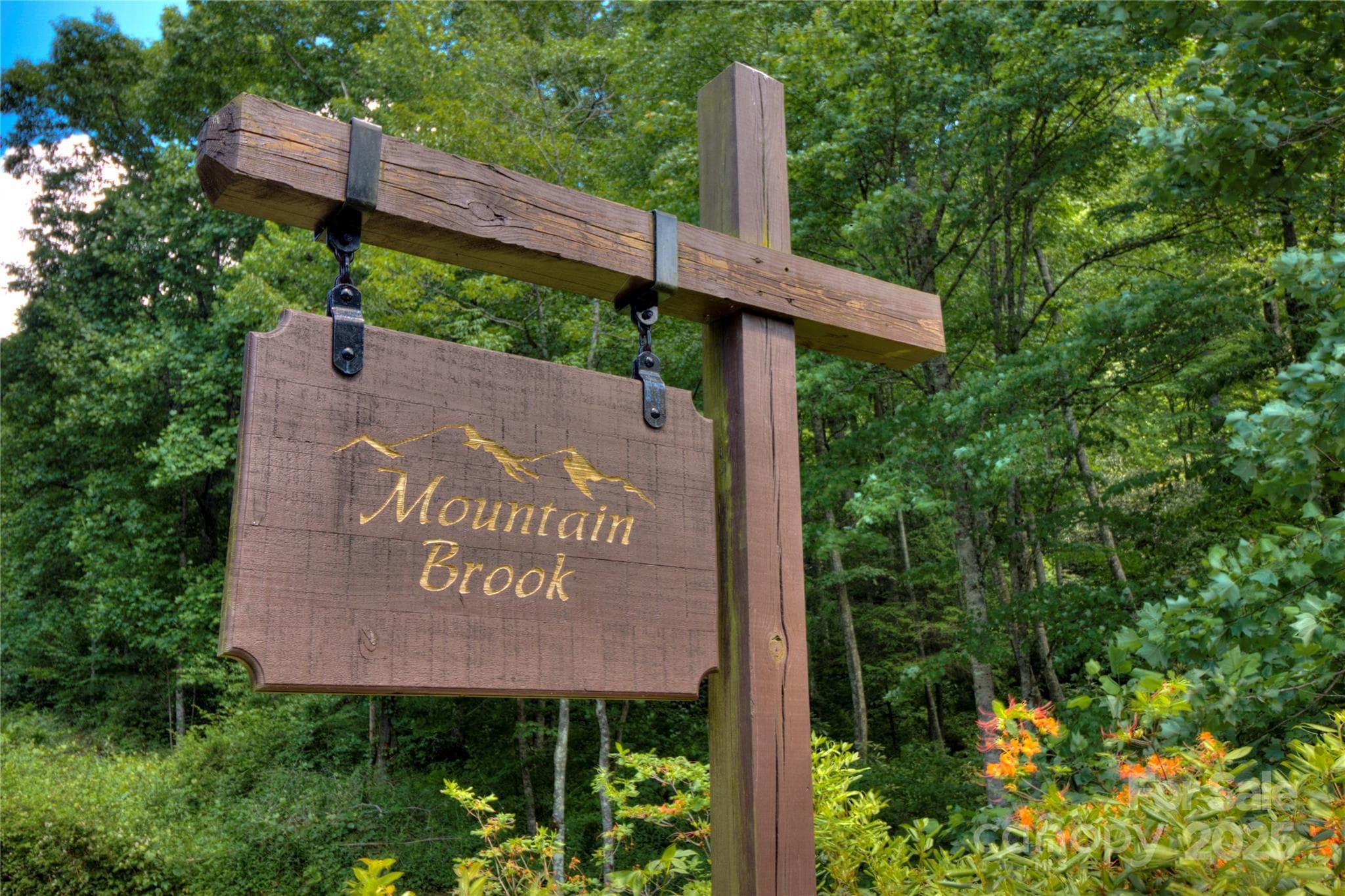 Lot at 000 Golden Trout Drive, Spruce Pine, photo 2 of 12