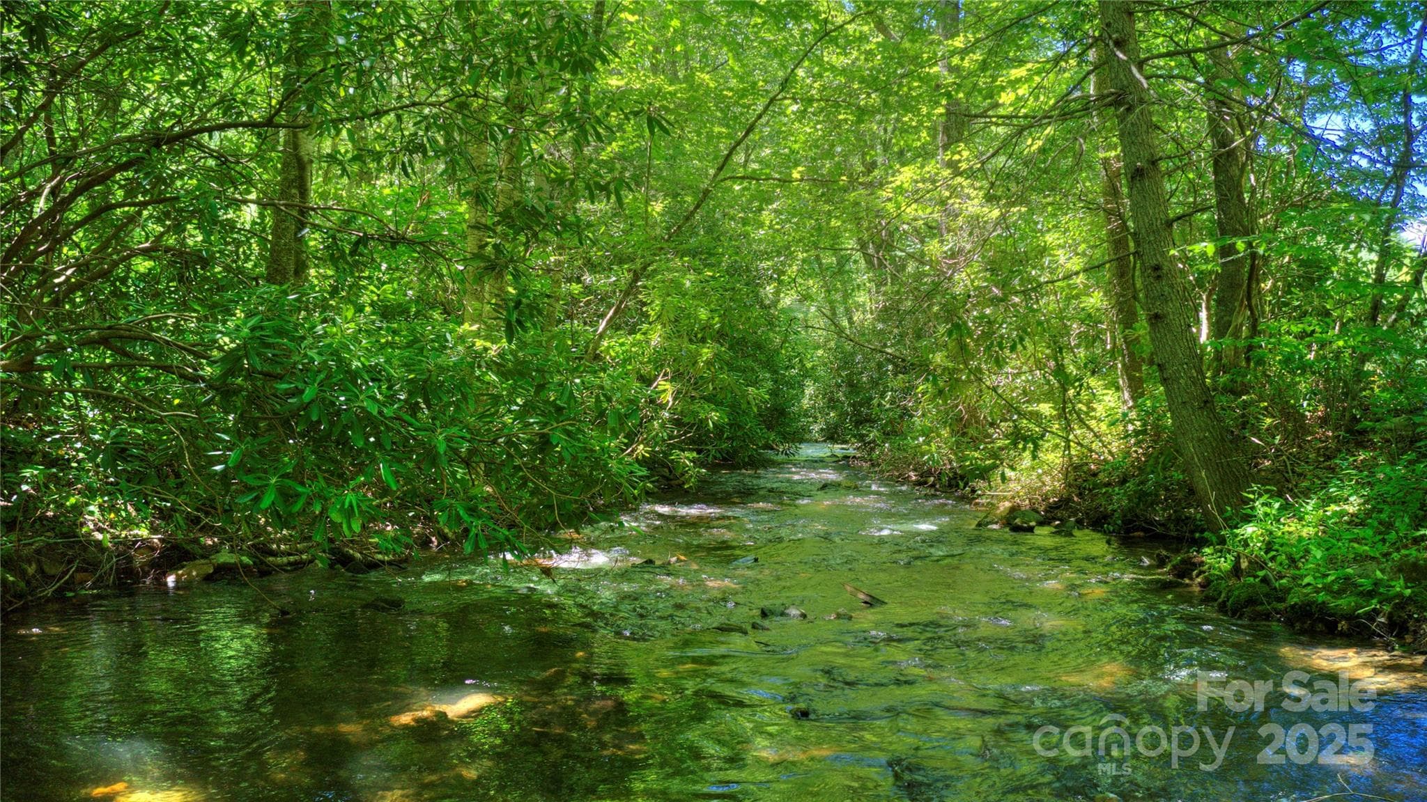 Lot at 000 Golden Trout Drive, Spruce Pine, photo 10 of 12