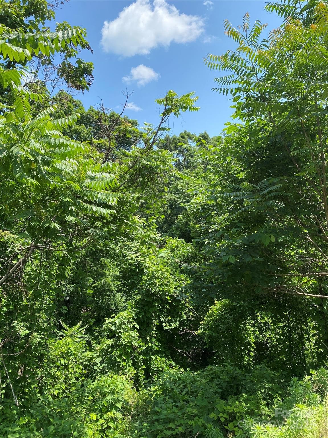 Lot at Lake Lure, photo 18 of 18