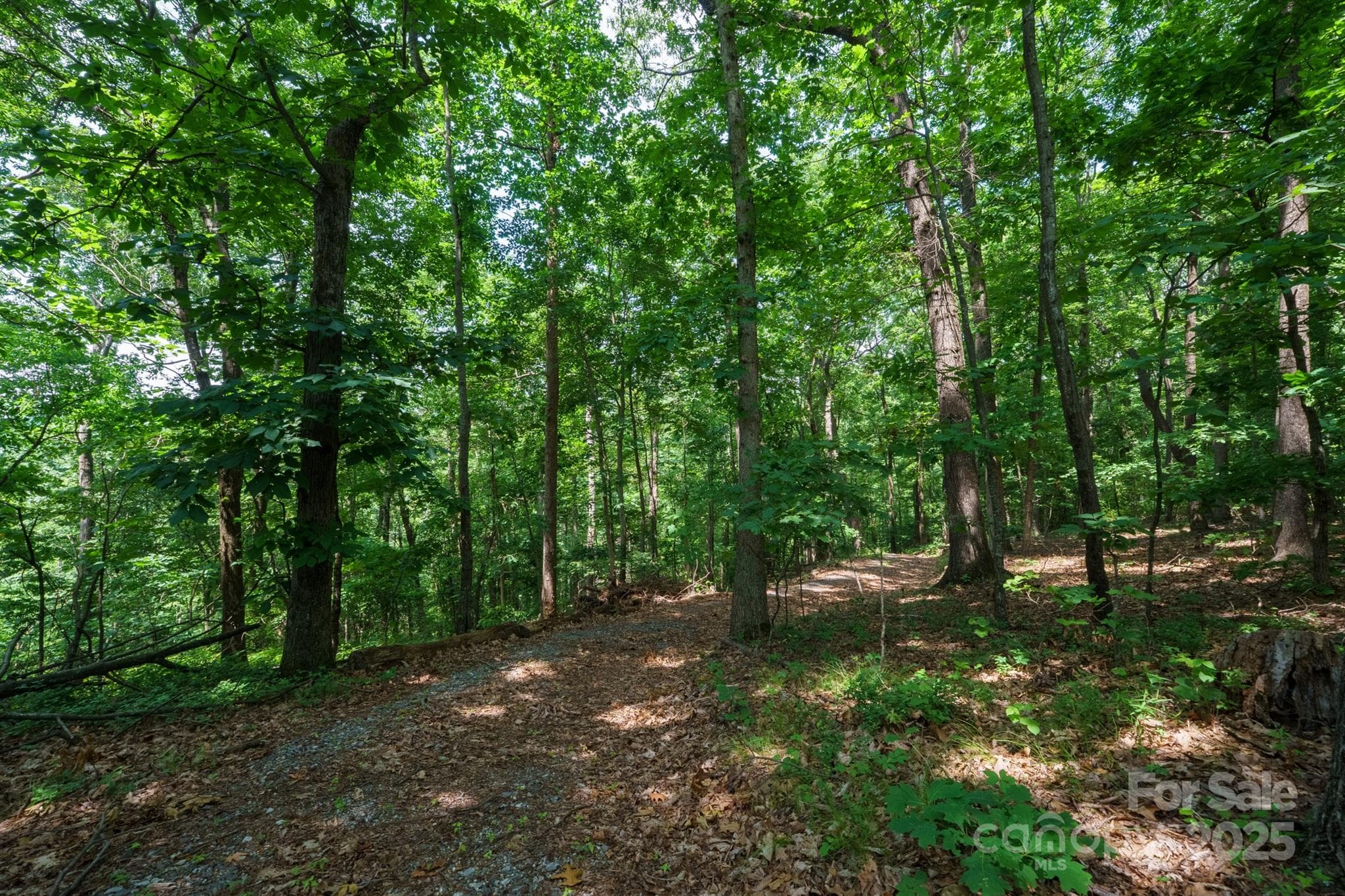 Acreage at 00 Hendren Road, Moravian Falls, photo 2 of 16
