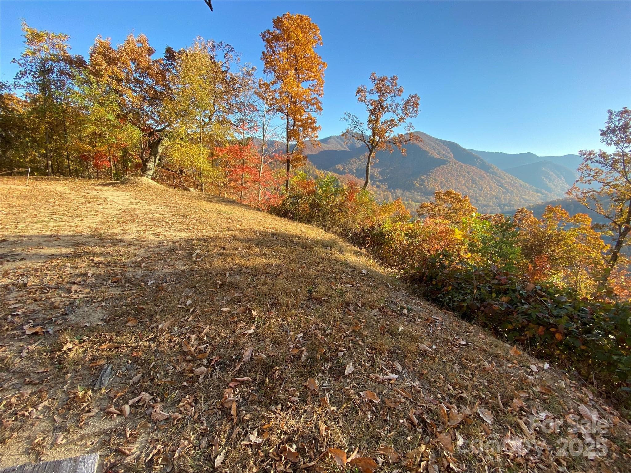 Black Bear Ridge