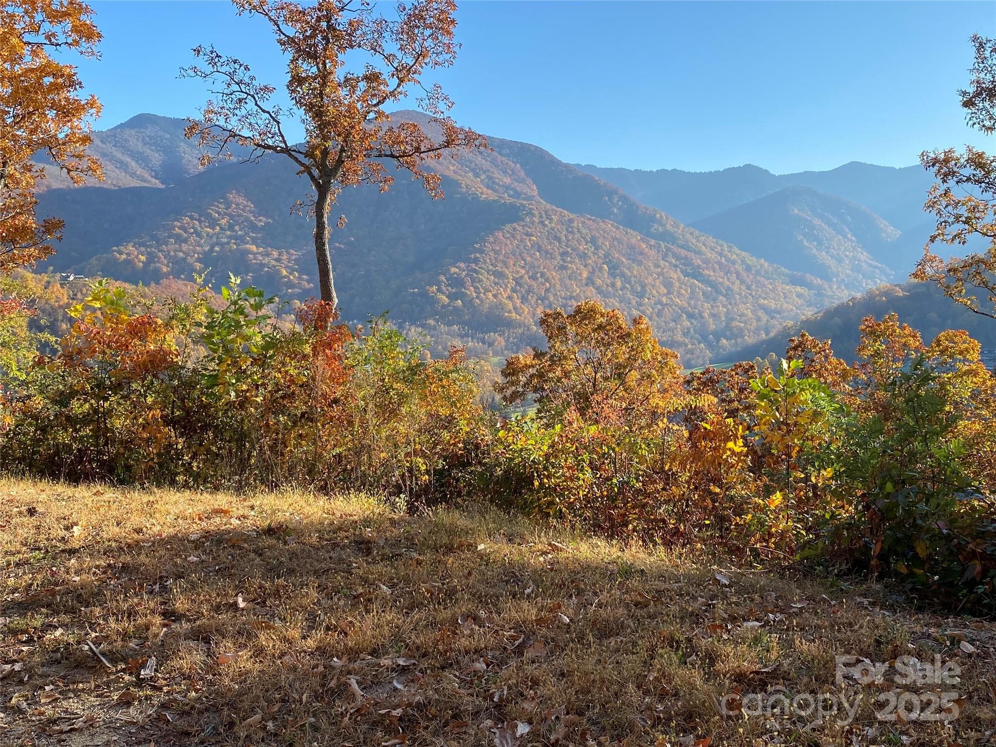 Lot at 40 Cougar Lane, Maggie Valley, photo 5 of 39