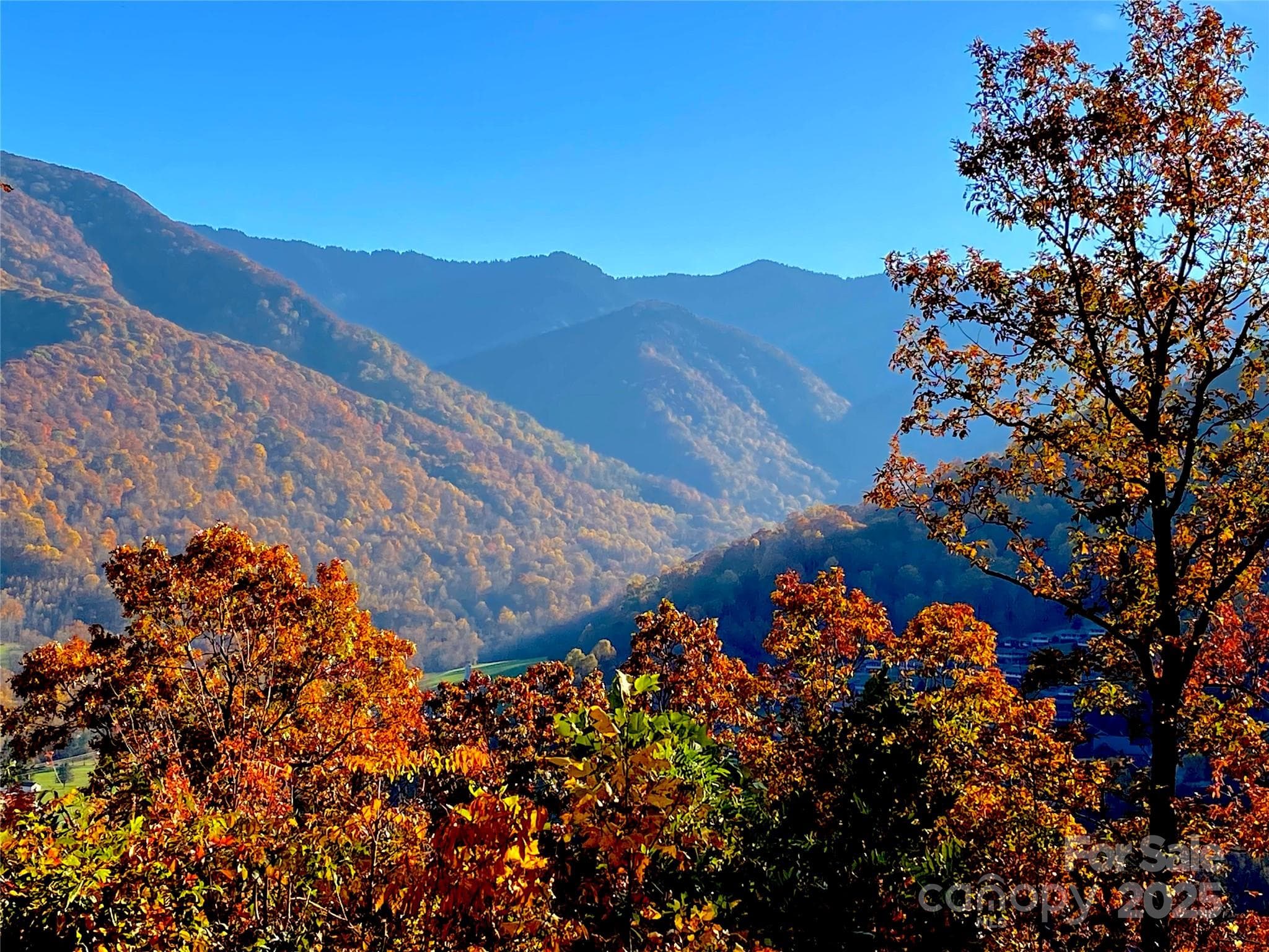 Lot at 40 Cougar Lane, Maggie Valley, photo 6 of 39
