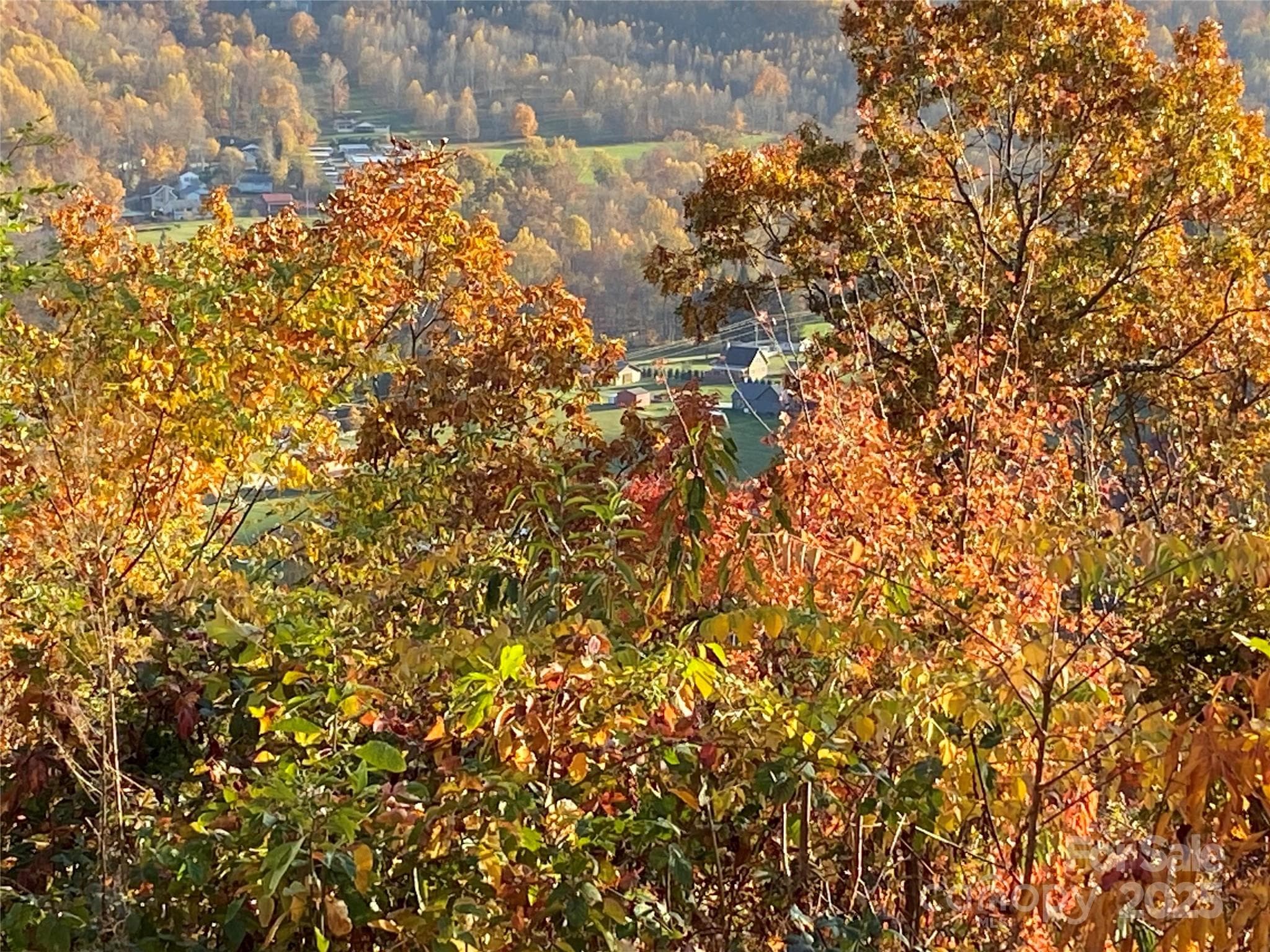 beautiful view of green pastures down below.. - 40 Cougar Lane, Maggie Valley