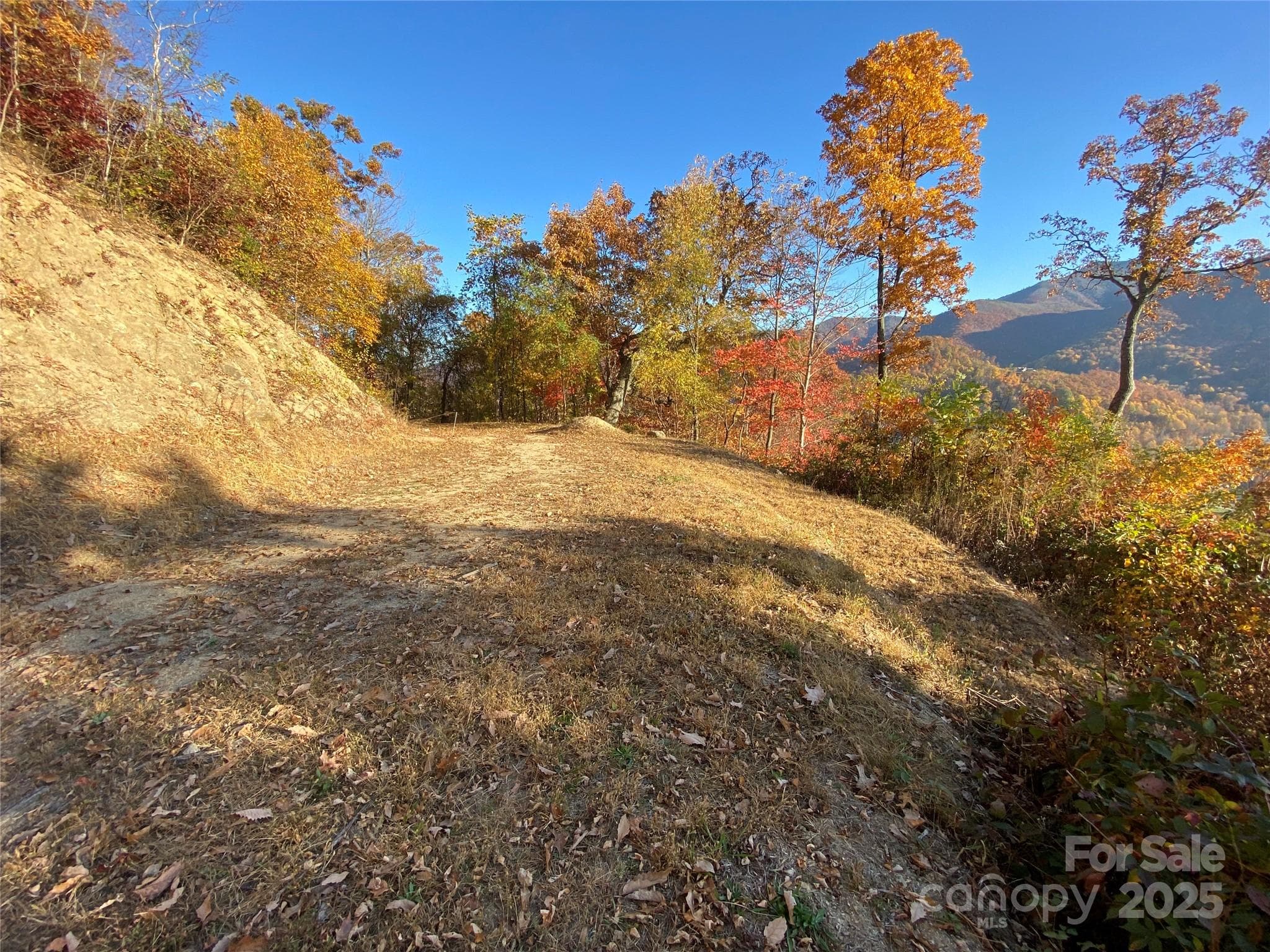 Large building site with full sett of building plands - 40 Cougar Lane, Maggie Valley