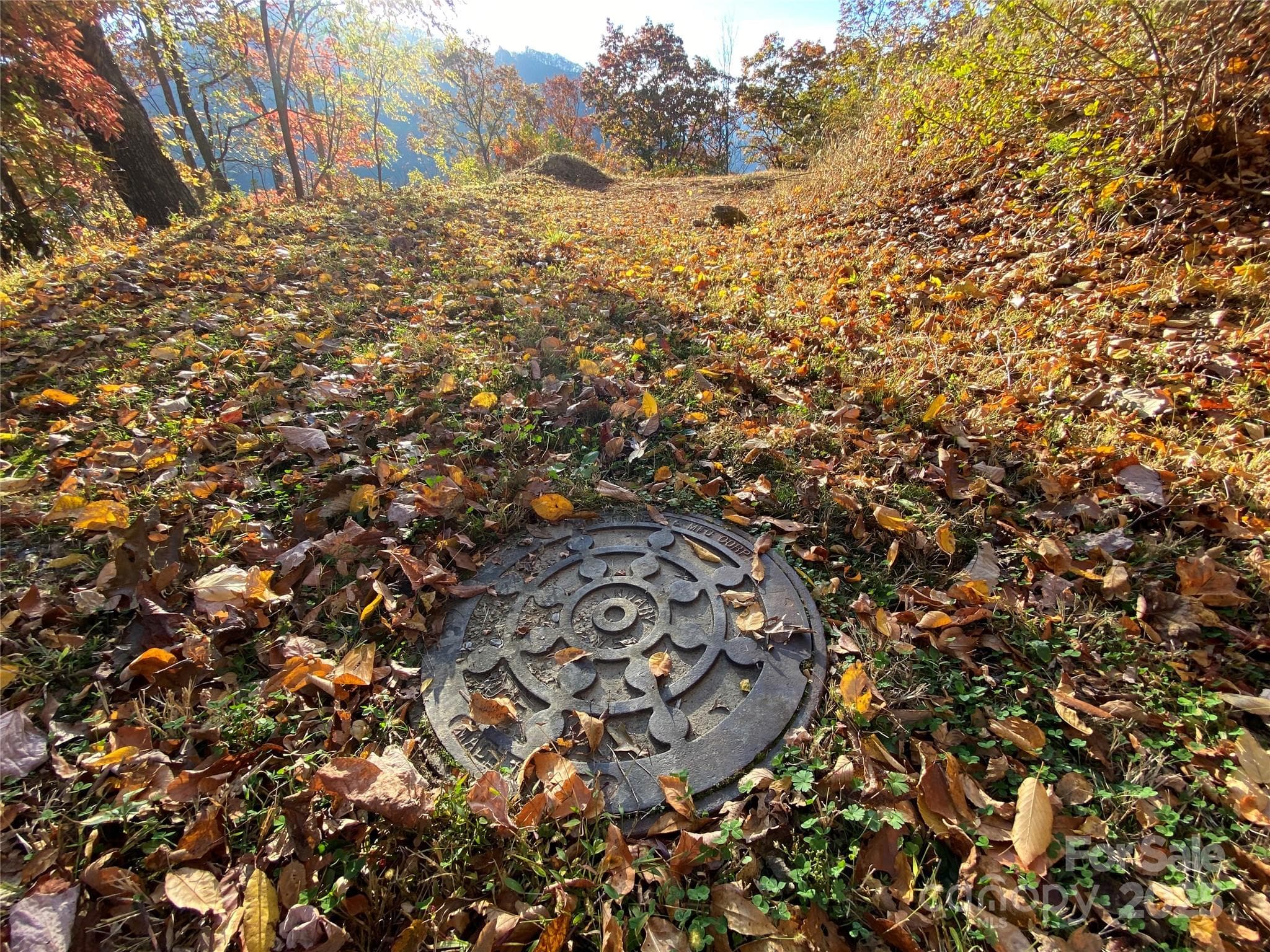 sewer tap area - 40 Cougar Lane, Maggie Valley