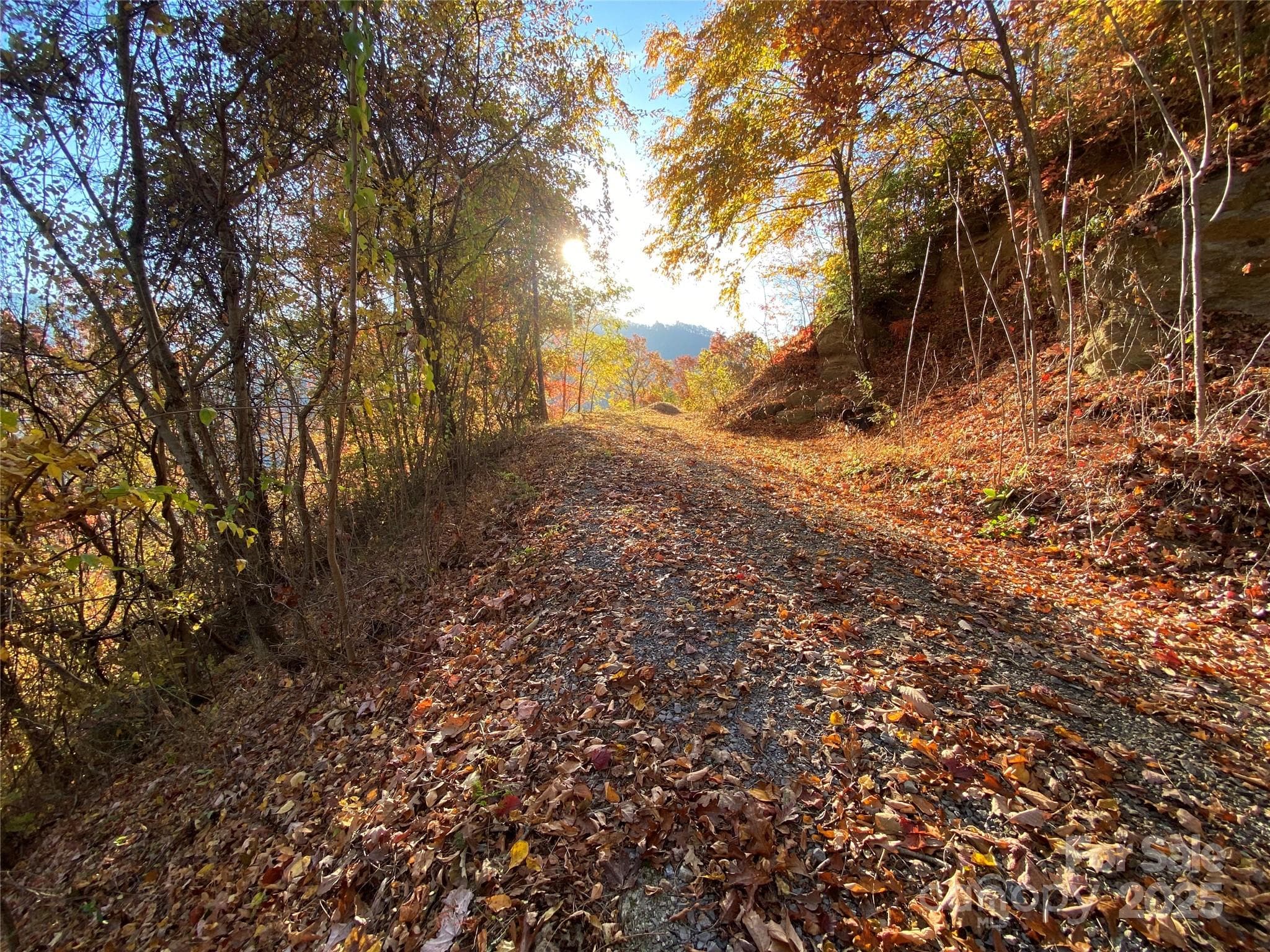 Driveway - 40 Cougar Lane, Maggie Valley