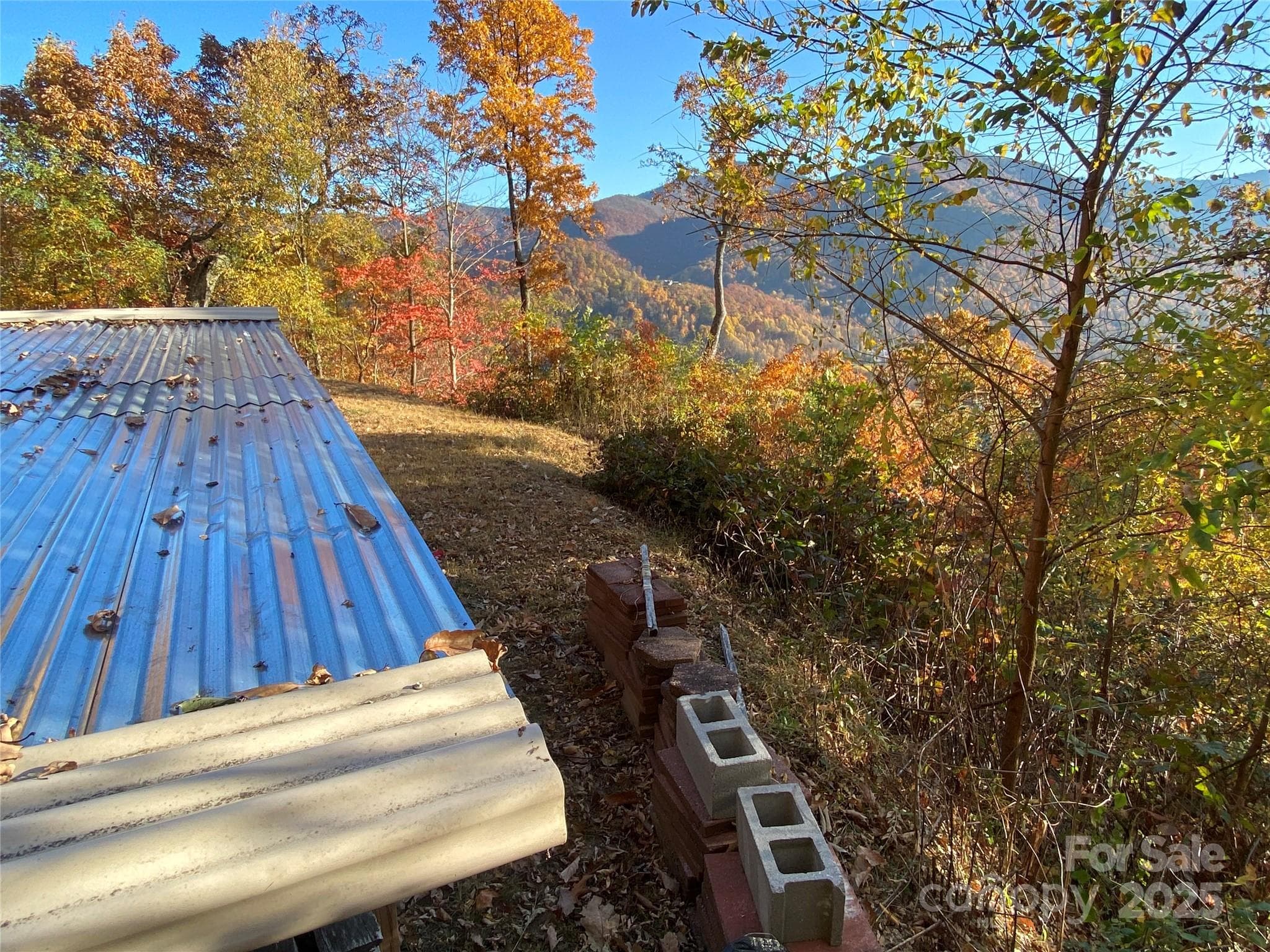 roof of wood storage shed - 40 Cougar Lane, Maggie Valley