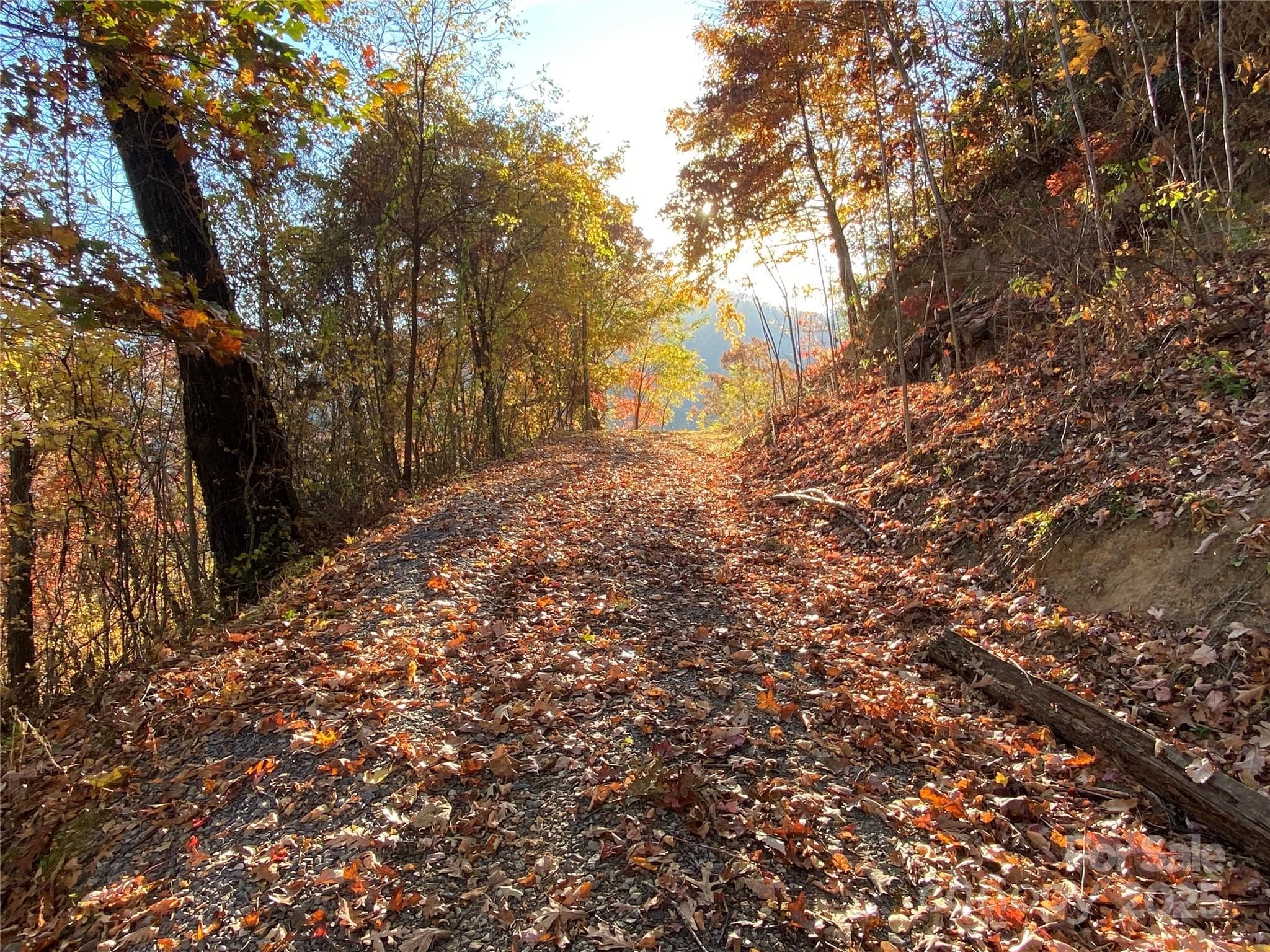 driveway going to the lot - 40 Cougar Lane, Maggie Valley