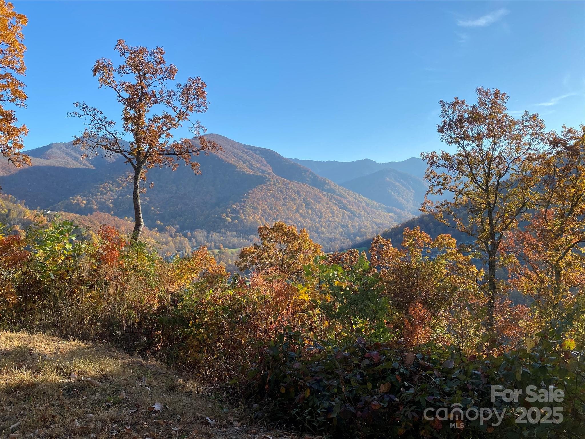 Lot at 40 Cougar Lane, Maggie Valley, photo 19 of 39