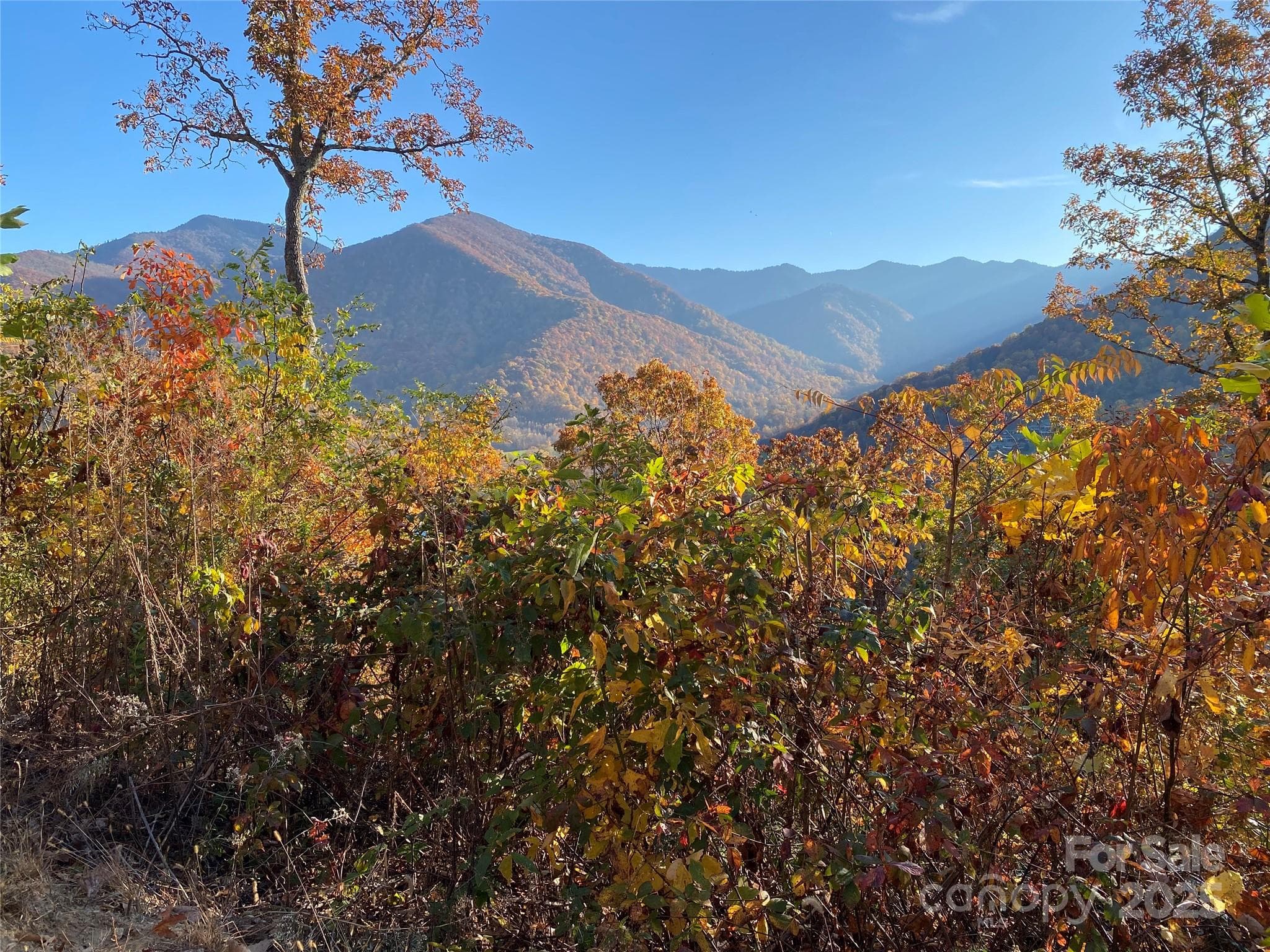 Lot at 40 Cougar Lane, Maggie Valley, photo 23 of 39