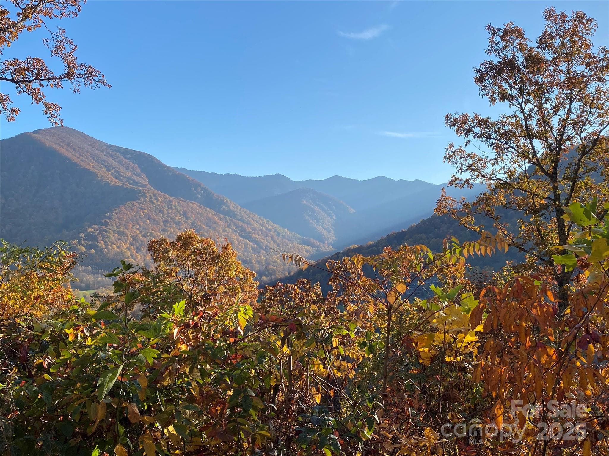 Lot at 40 Cougar Lane, Maggie Valley, photo 24 of 39