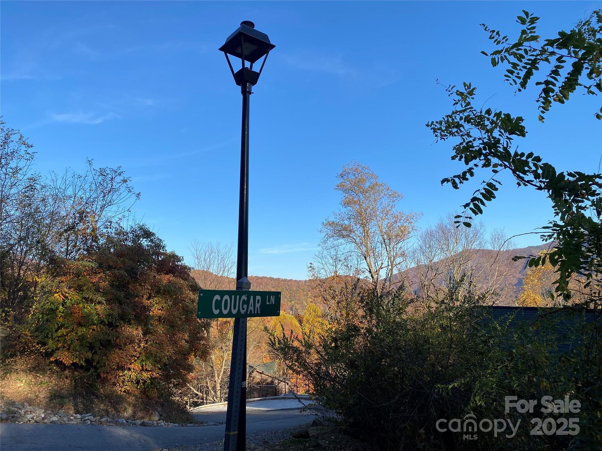 street lights and Cougar street sign - 40 Cougar Lane, Maggie Valley