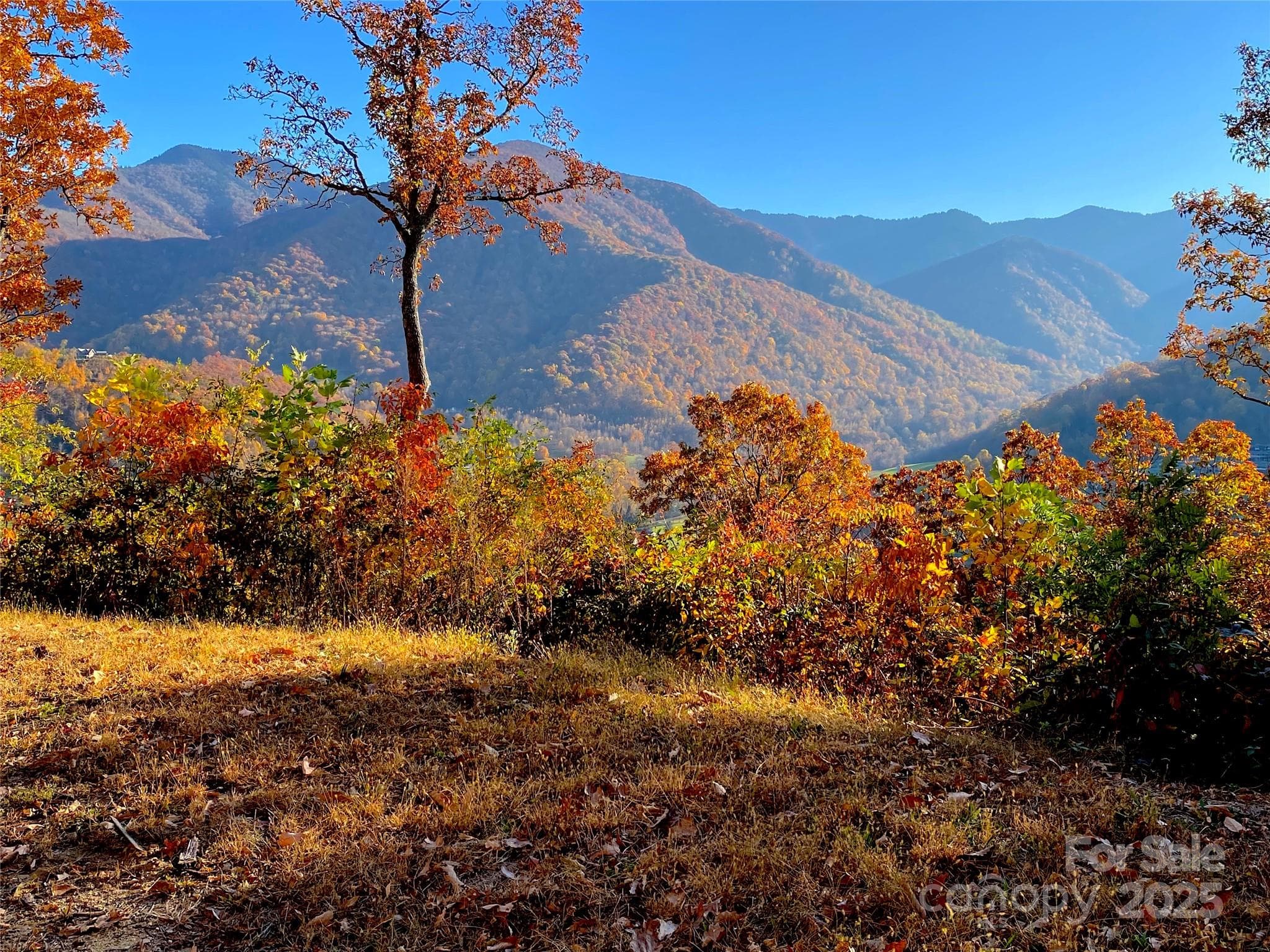 Lot at 40 Cougar Lane, Maggie Valley, photo 35 of 39