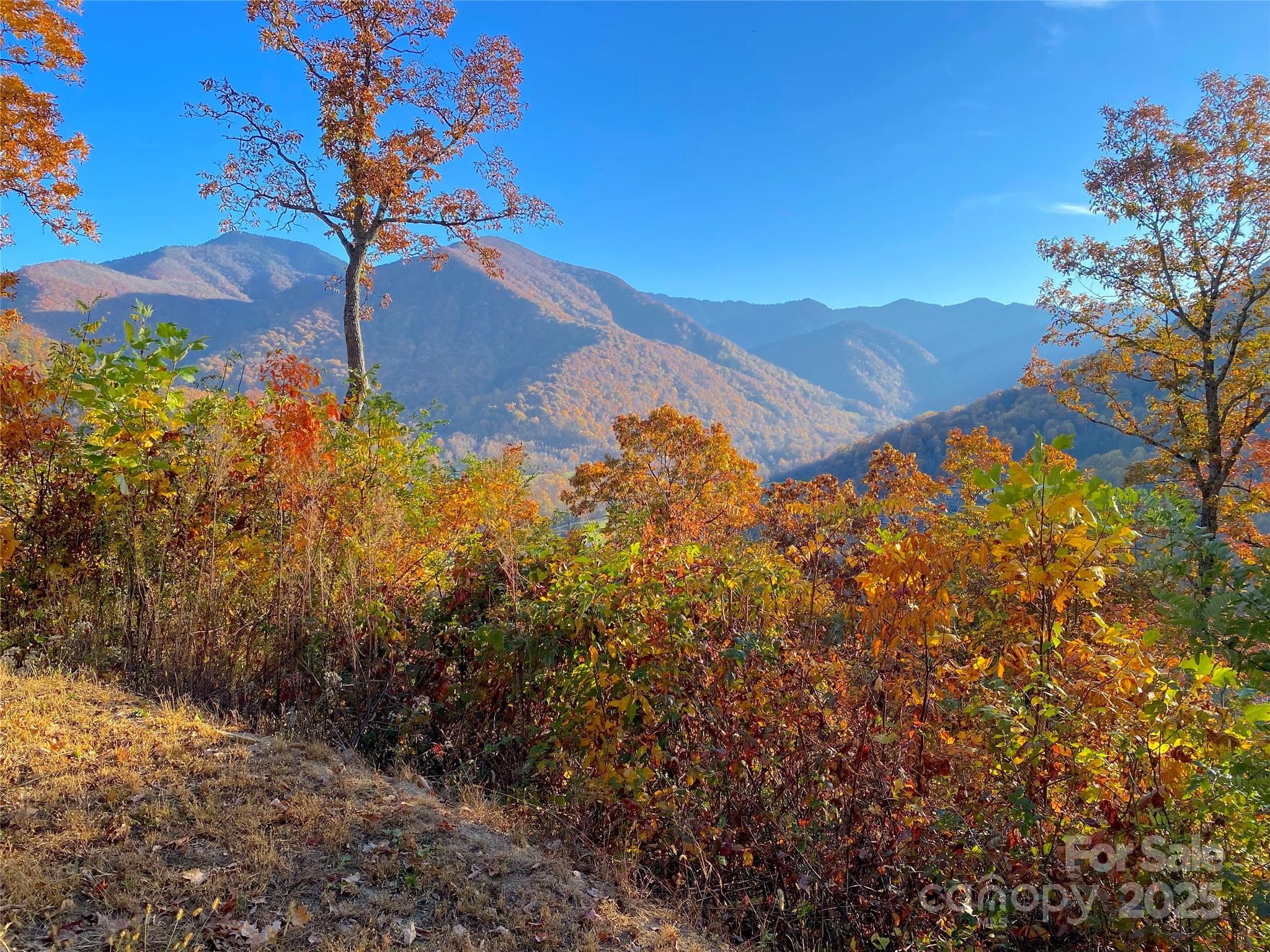 Lot at 40 Cougar Lane, Maggie Valley, photo 37 of 39