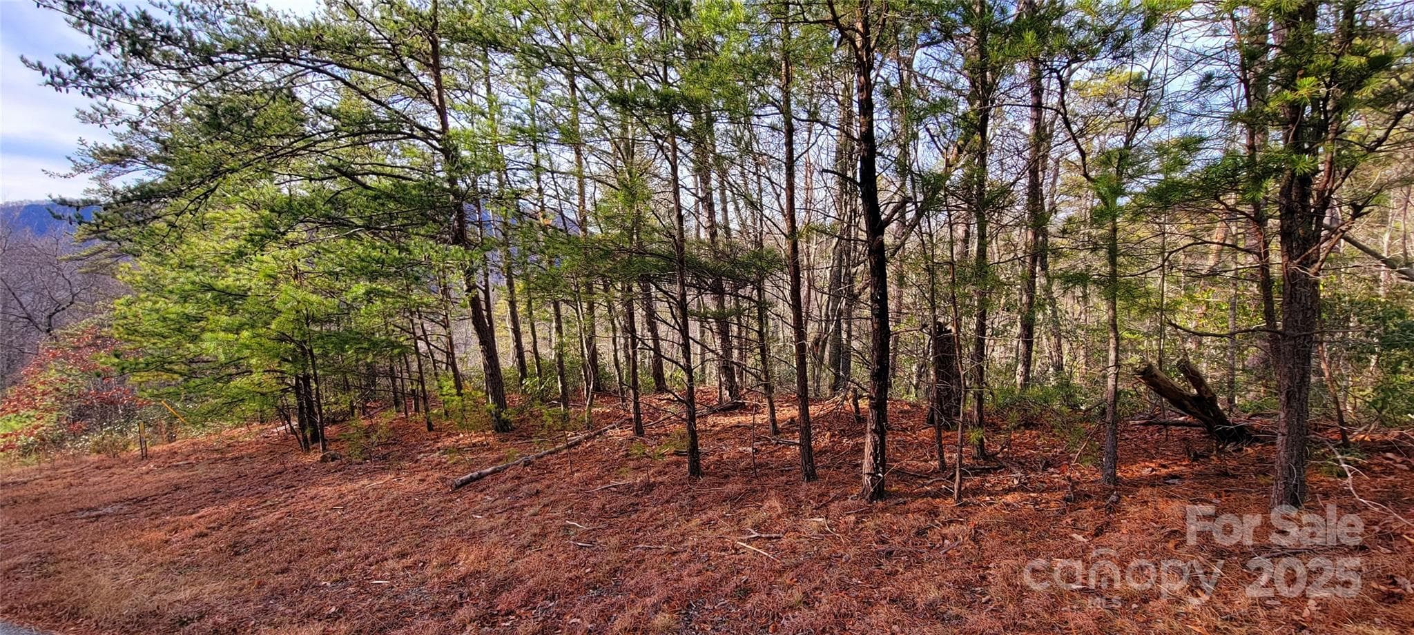 Lot at V/L Chickasaw Way, Marion, photo 2 of 17