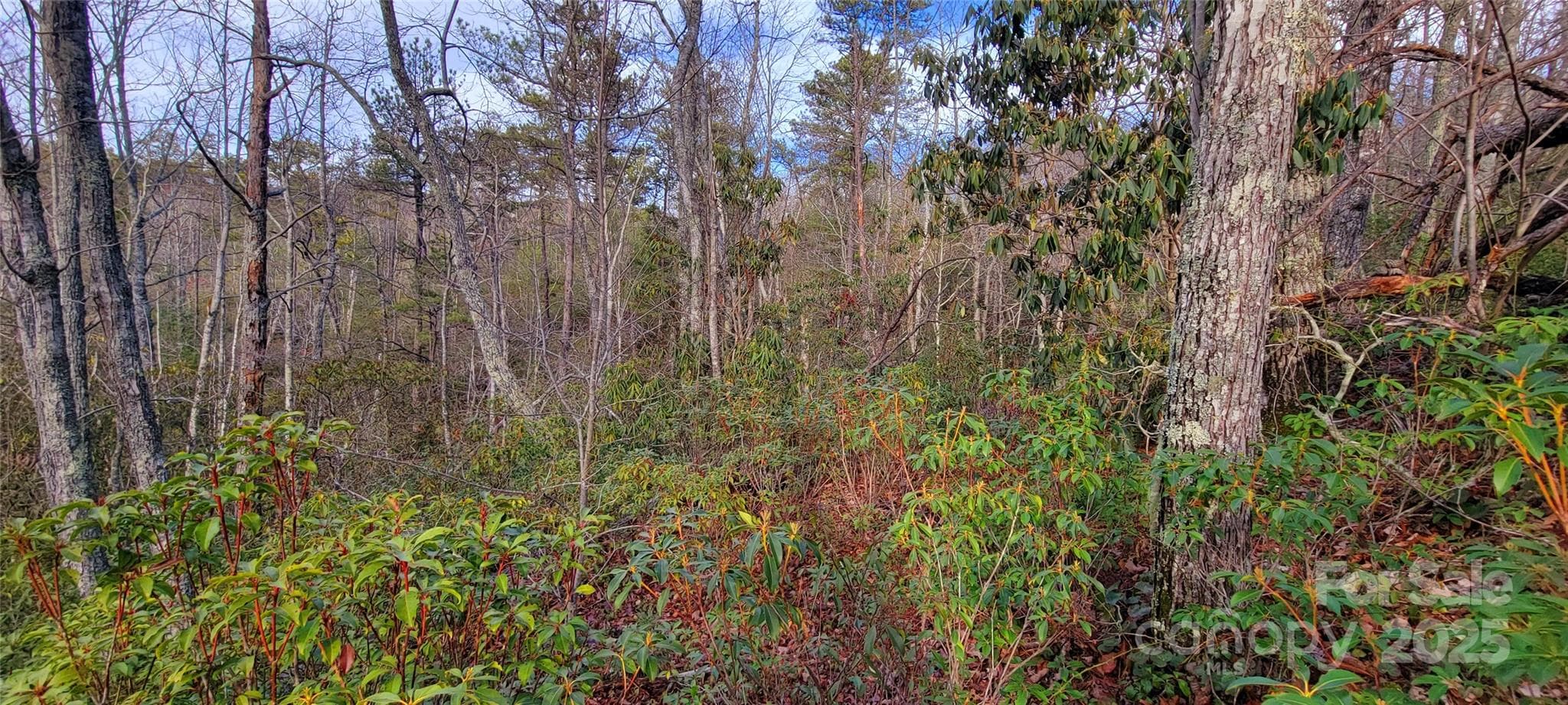 Lot at V/L Chickasaw Way, Marion, photo 12 of 17