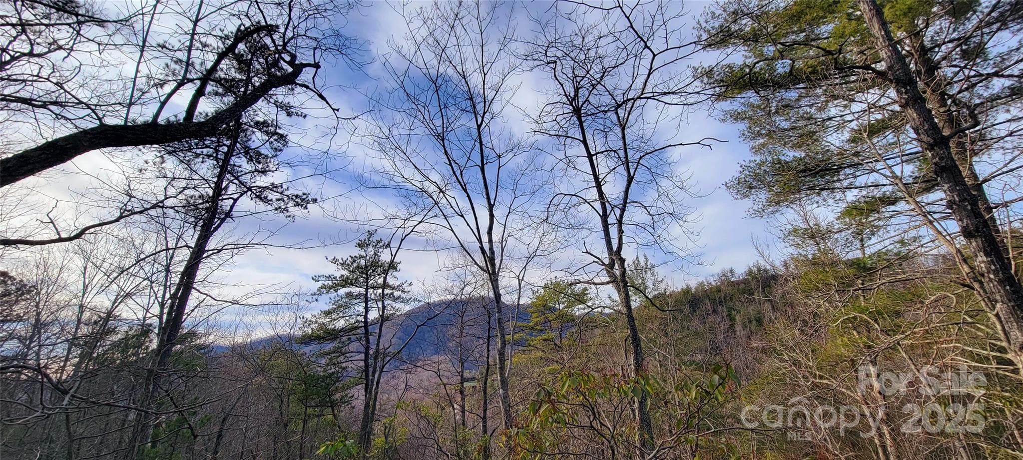 Lot at V/L Chickasaw Way, Marion, photo 13 of 17