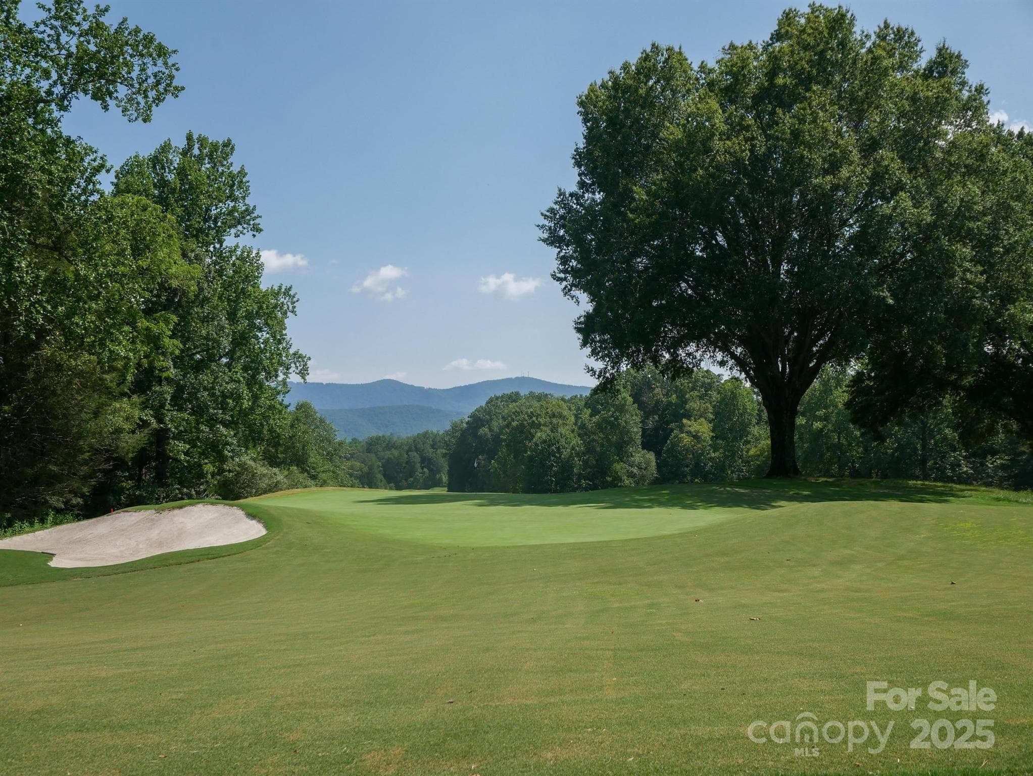 Lot at Mill Spring, photo 17 of 25