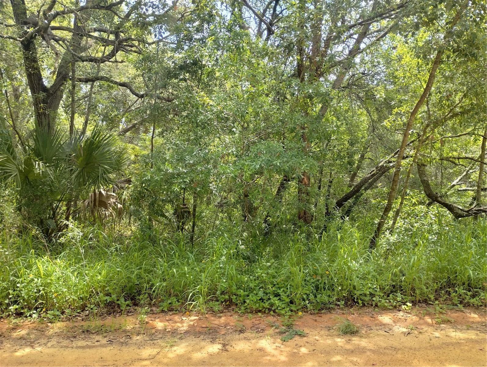 Land at DOGWOOD WAY, LADY LAKE, photo 5 of 9