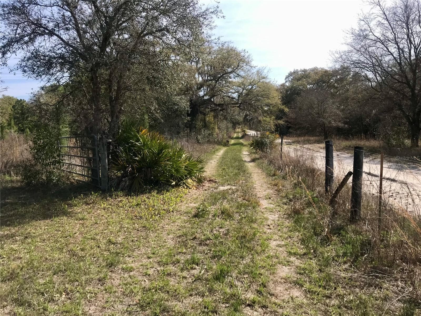 Land at 01 UNNAMED, SPRING HILL, photo 2 of 100