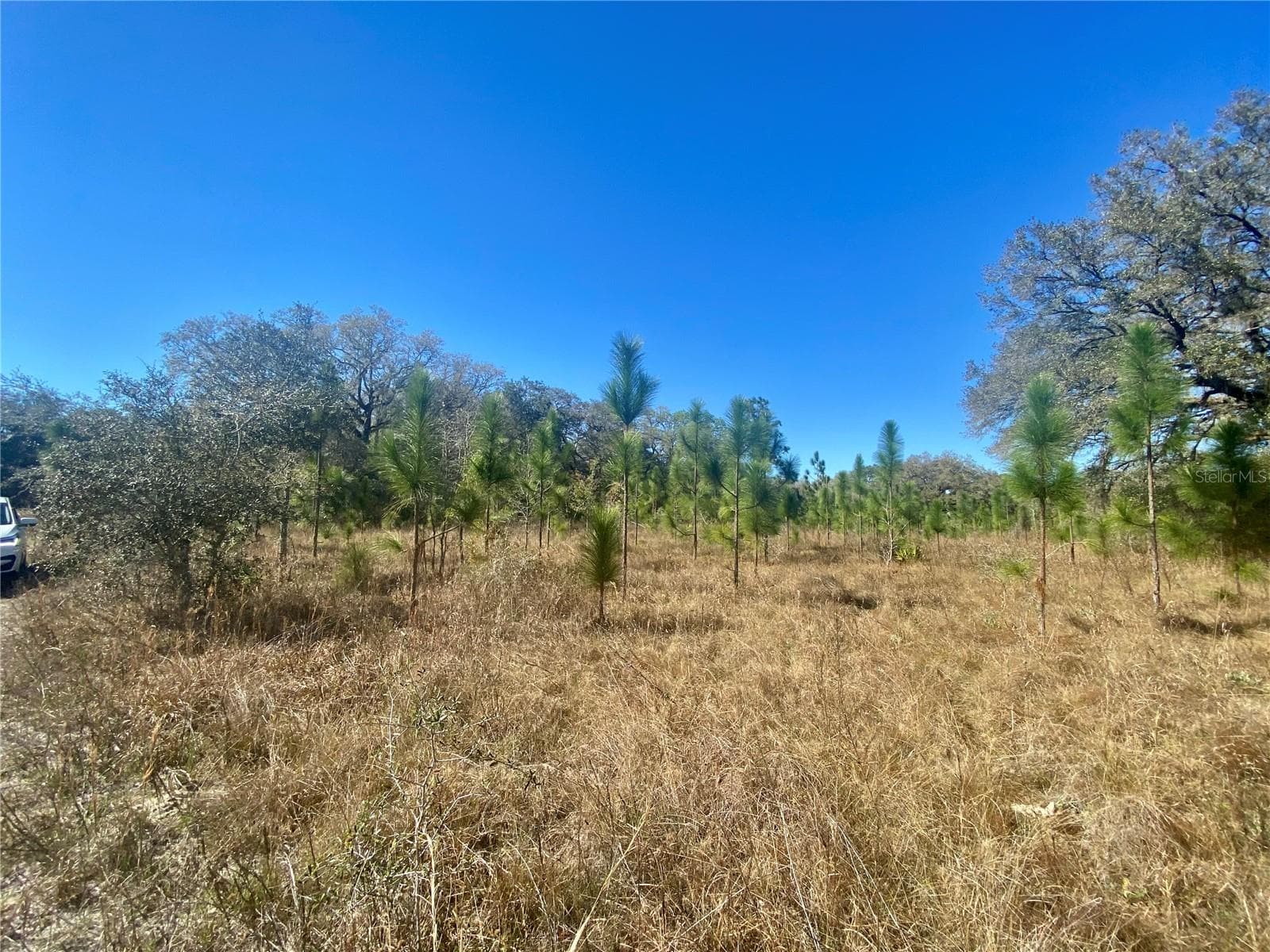 Land at 01 UNNAMED, SPRING HILL, photo 3 of 100
