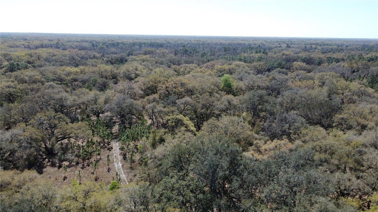 Land at 01 UNNAMED, SPRING HILL, photo 11 of 100
