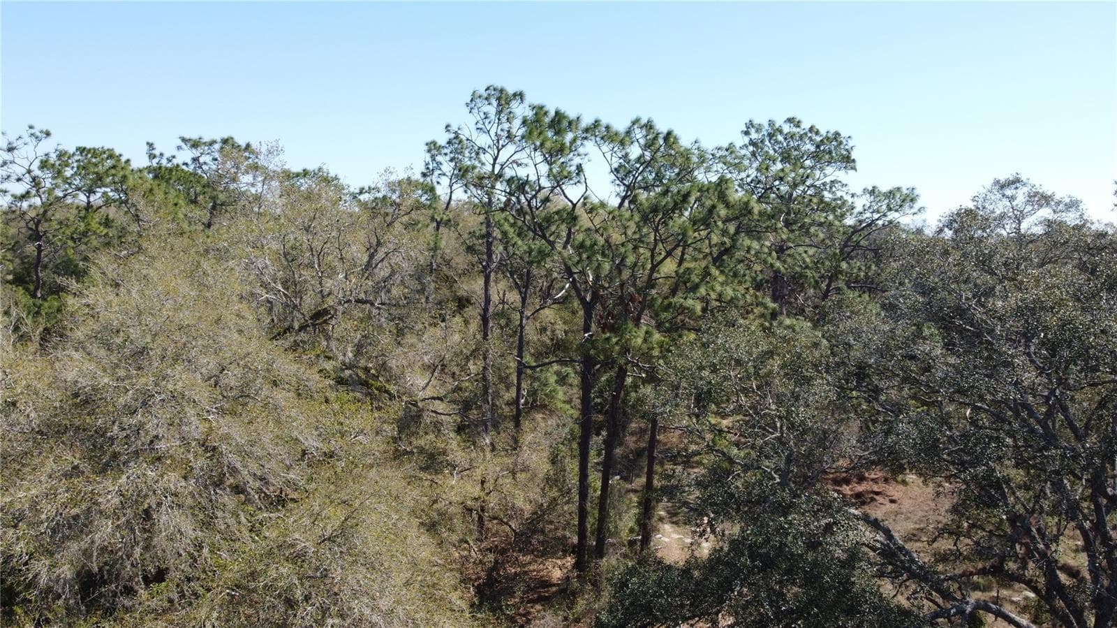 Land at 01 UNNAMED, SPRING HILL, photo 16 of 100