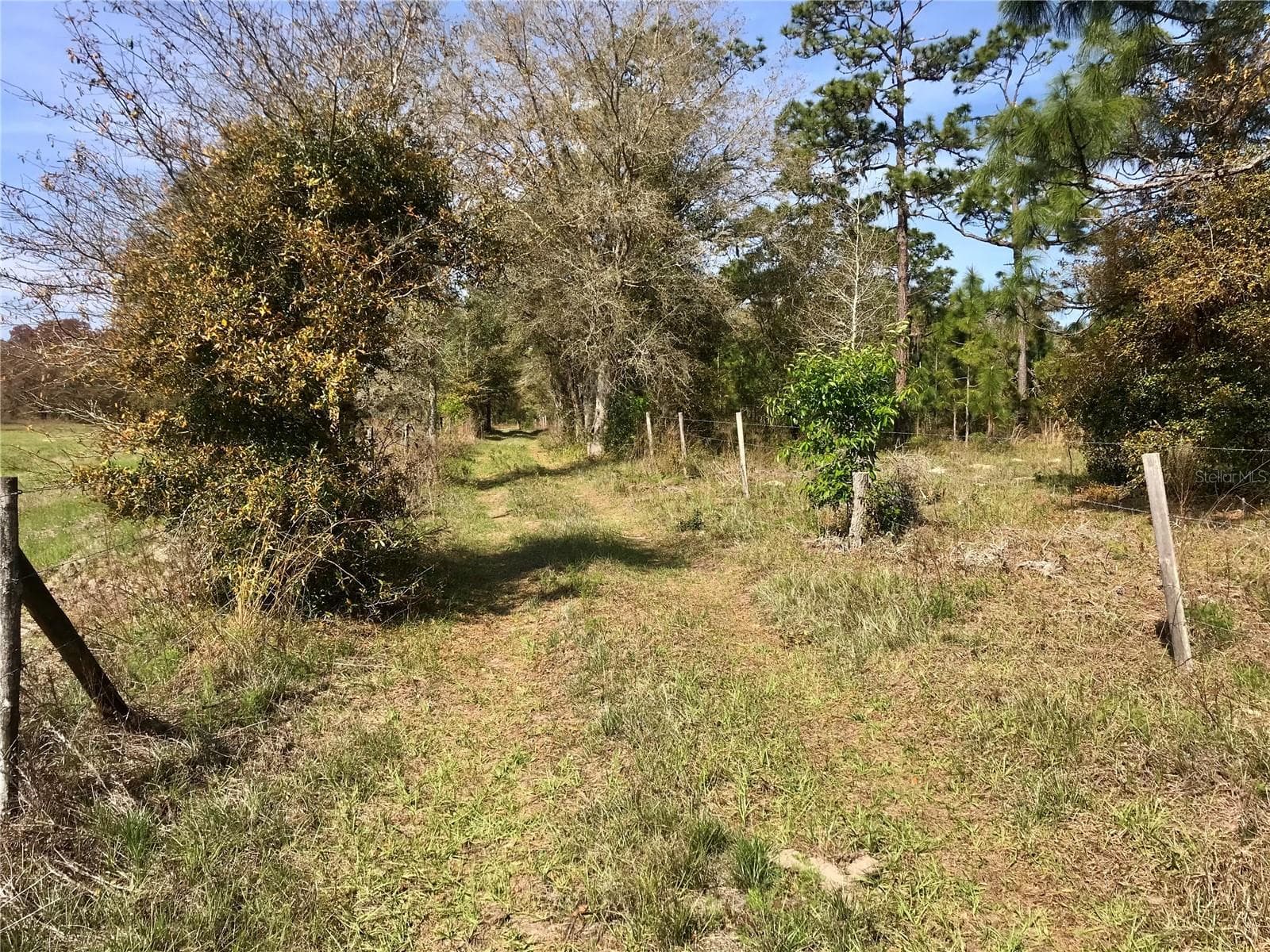 Land at 01 UNNAMED, SPRING HILL, photo 42 of 100