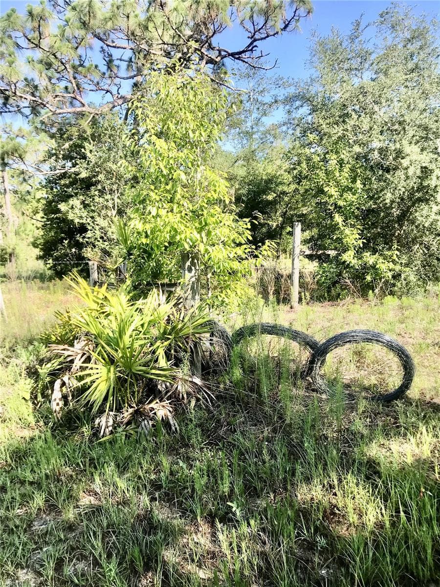 Land at 01 UNNAMED, SPRING HILL, photo 44 of 100