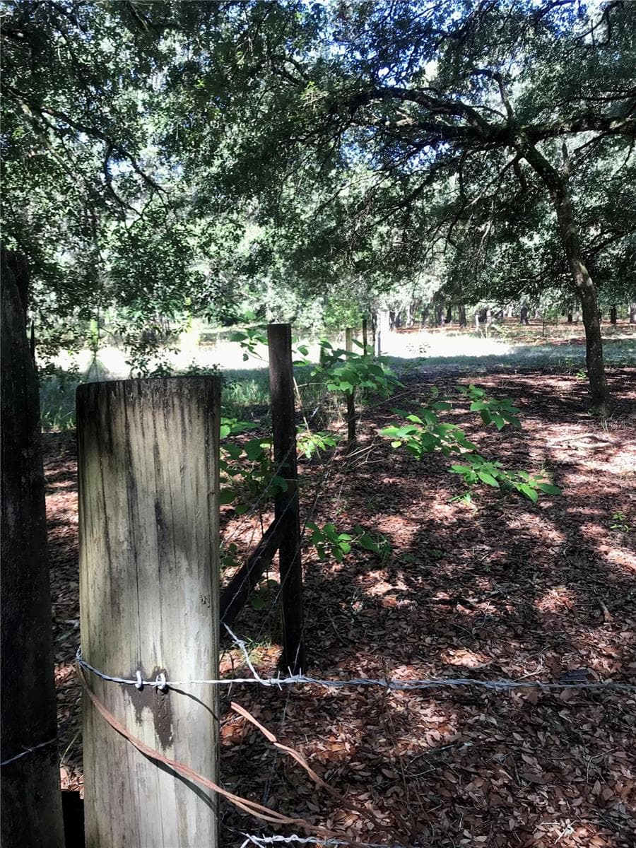 Land at 01 UNNAMED, SPRING HILL, photo 51 of 100