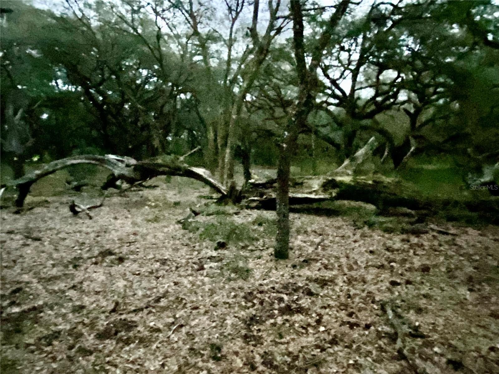 Land at 01 UNNAMED, SPRING HILL, photo 66 of 100