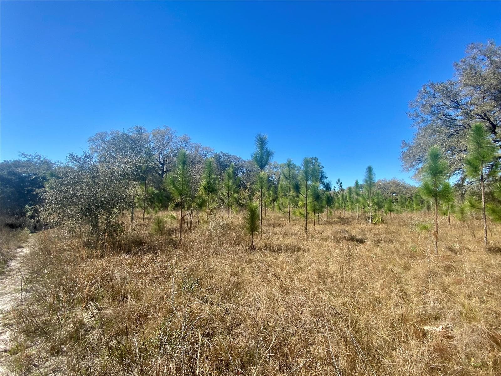 Land at 01 UNNAMED, SPRING HILL, photo 69 of 100