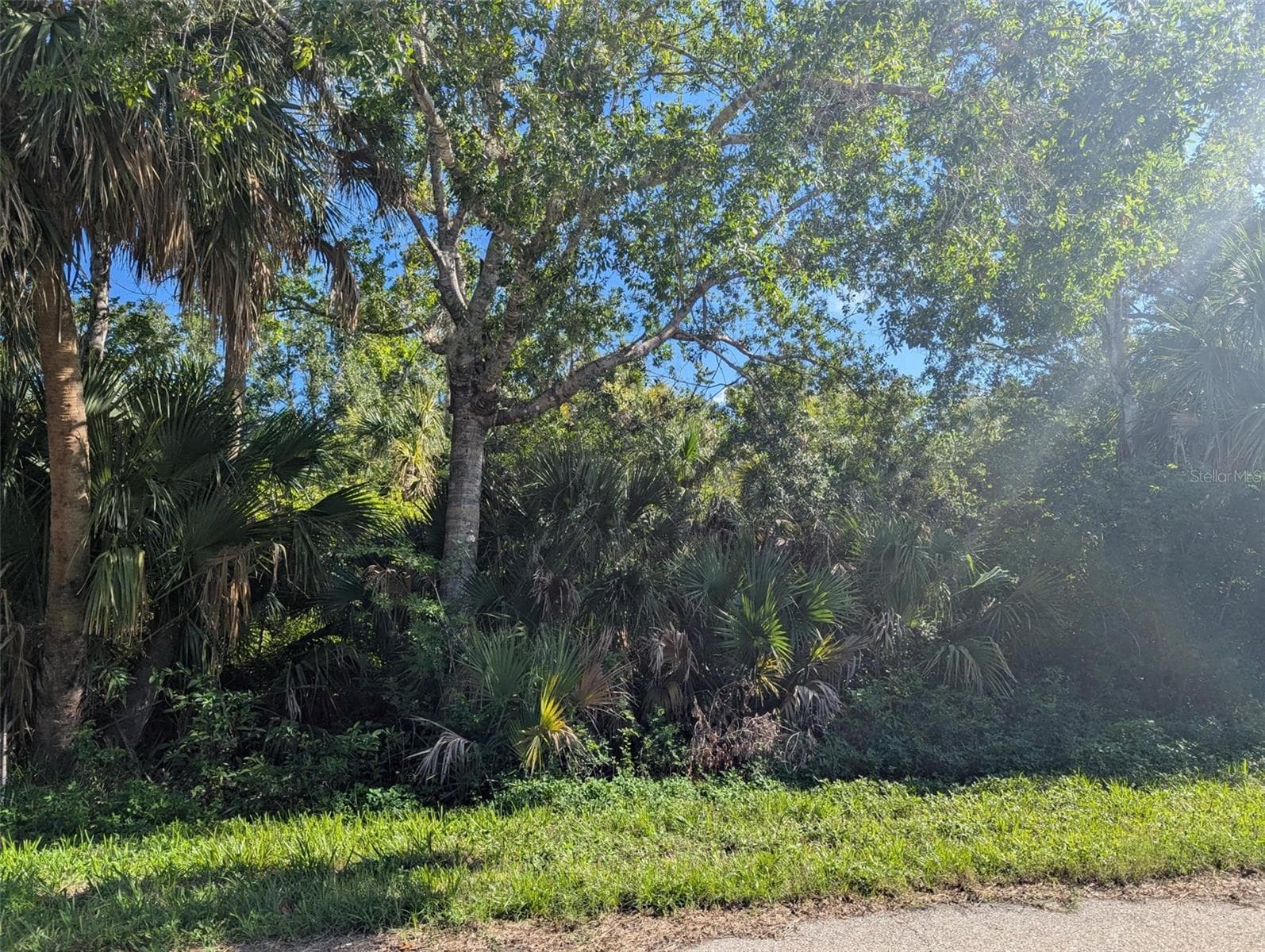 Land at 16506 MCLAURY AVE, PORT CHARLOTTE, photo 3 of 4