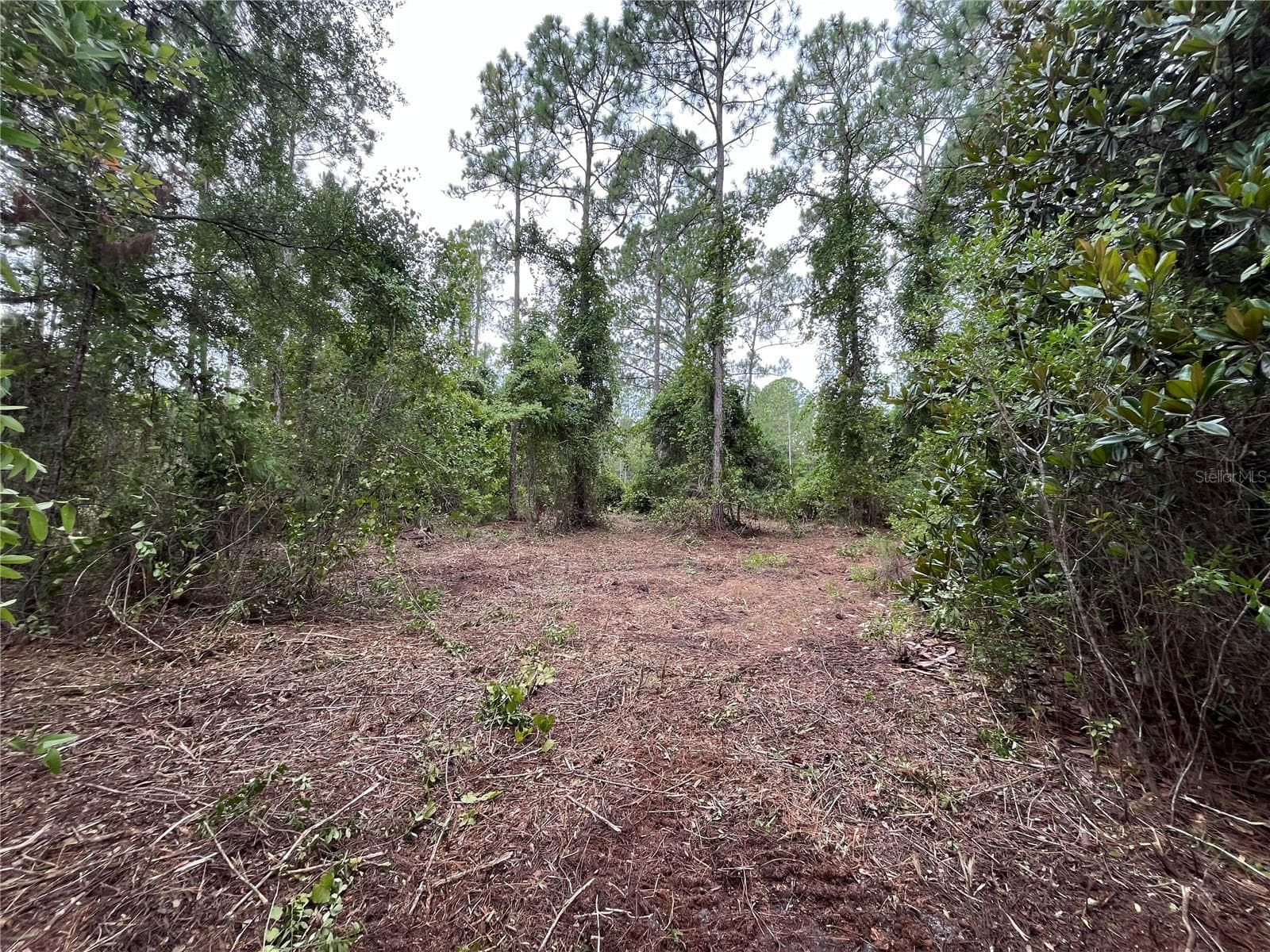 Land at 147 ROEBUCK ST, GEORGETOWN, photo 5 of 12