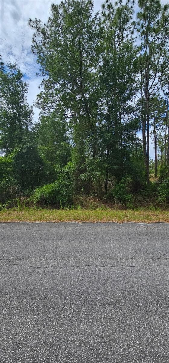 Land at 0 NW ASPEN LN, DUNNELLON, photo 4 of 5