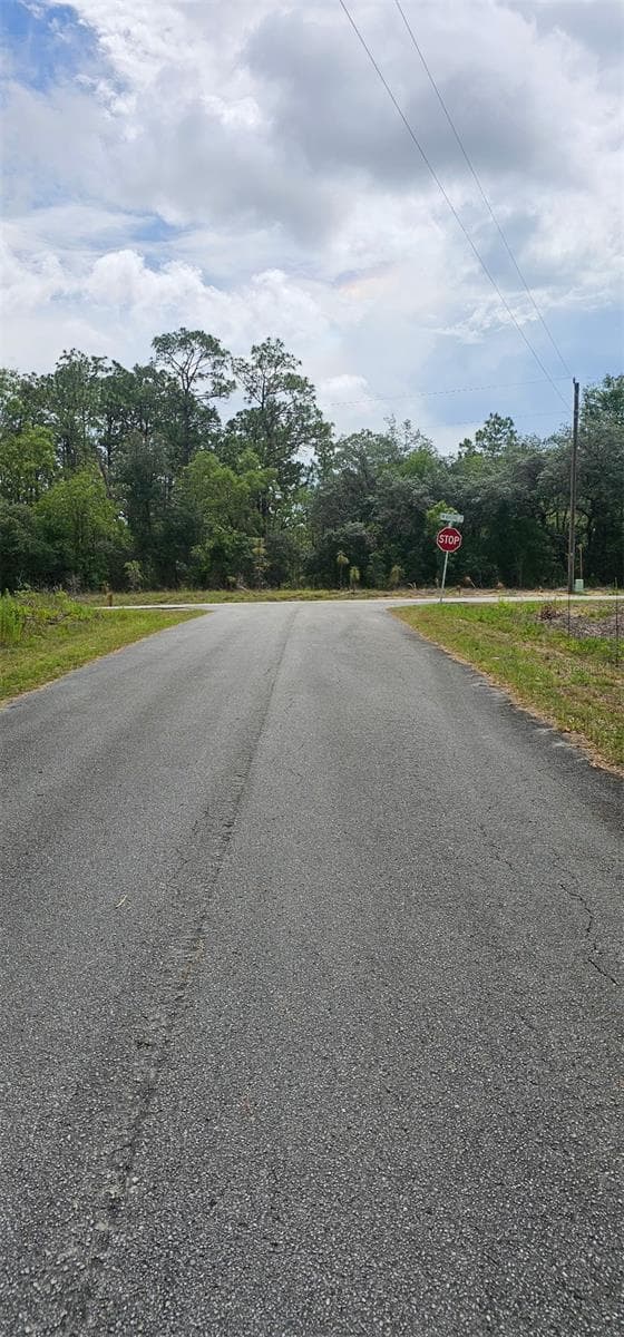 Land at 0 NW ASPEN LN, DUNNELLON, photo 5 of 5
