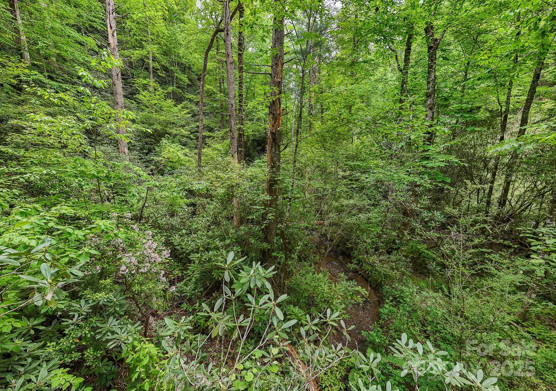 Acreage at 399 Shell Stand Road, Almond, photo 9 of 21