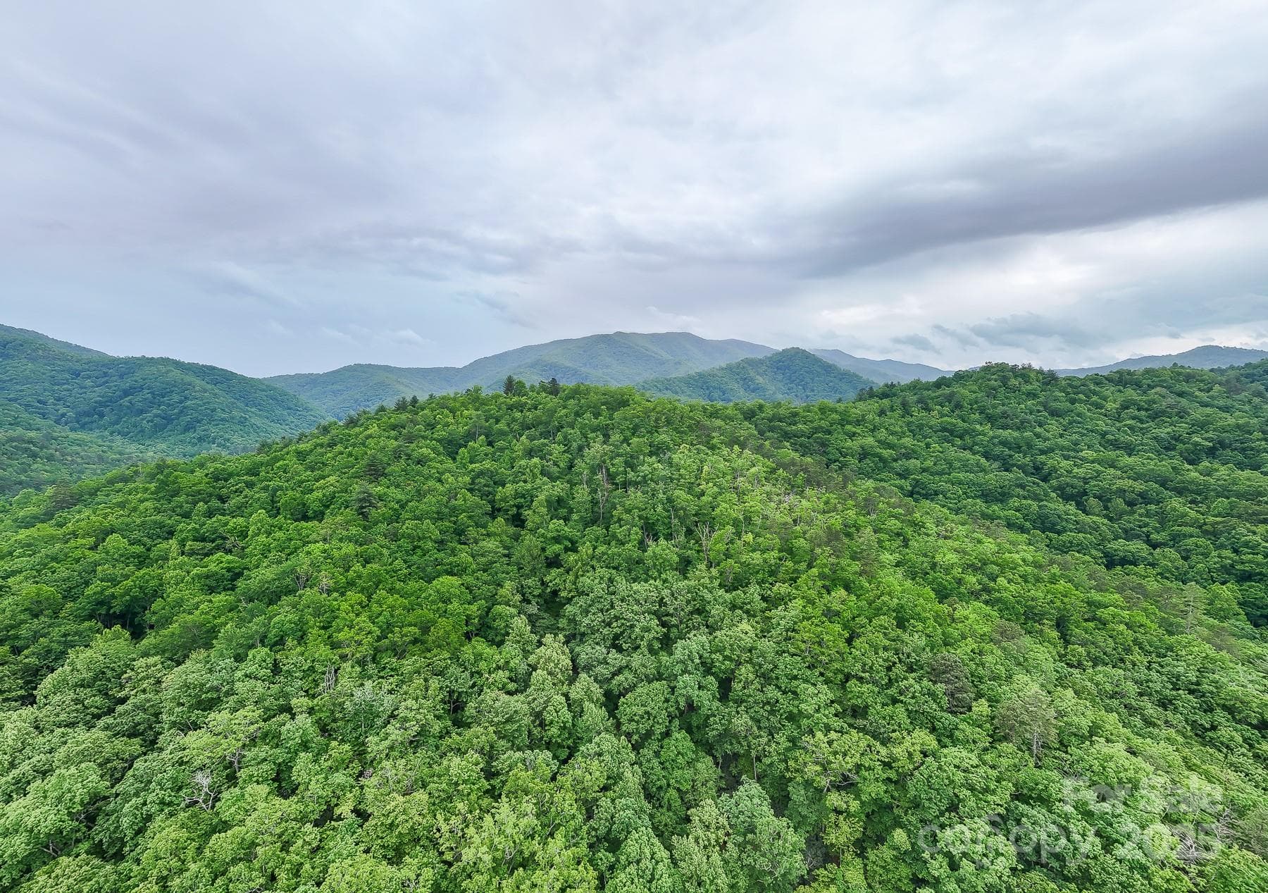 Acreage at 399 Shell Stand Road, Almond, photo 12 of 21