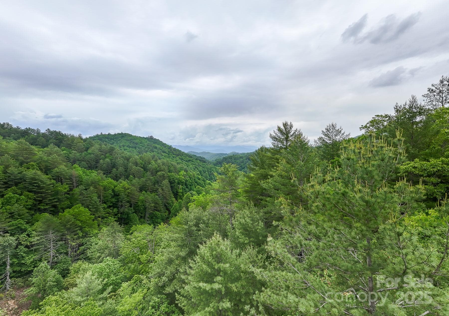 Acreage at 399 Shell Stand Road, Almond, photo 18 of 21