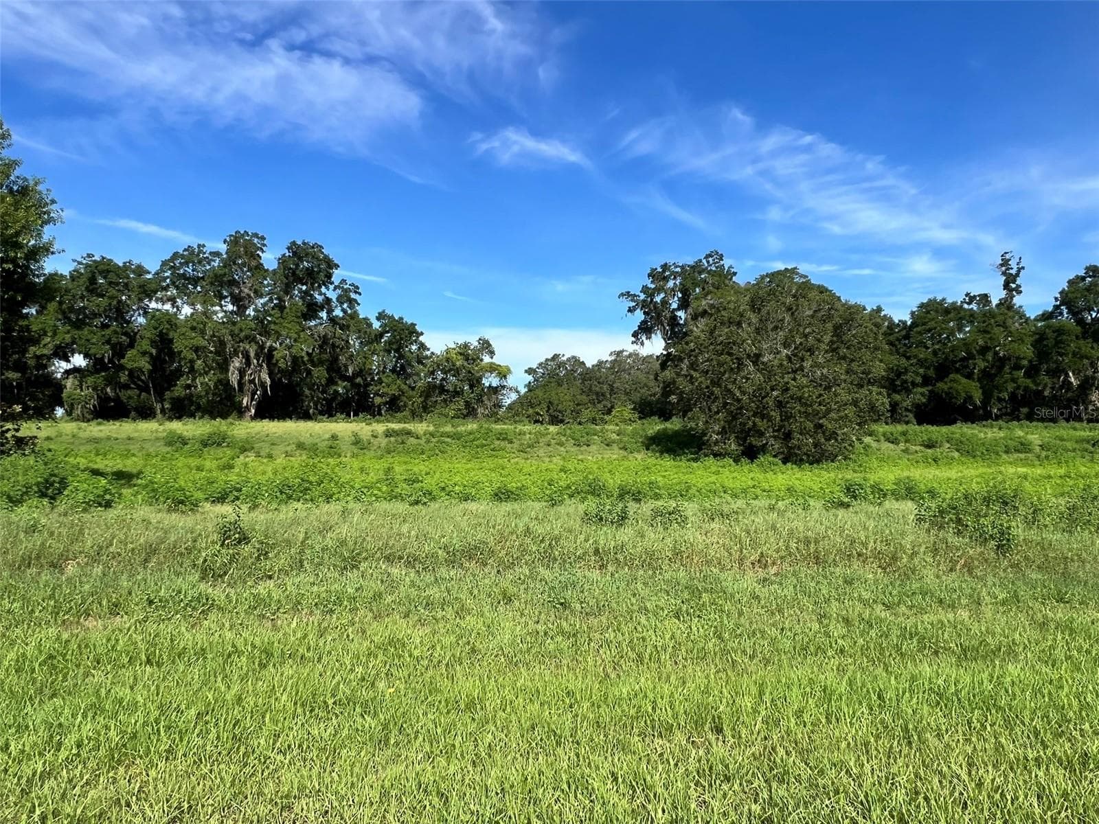 Land at 0 SE 8TH AVE #Lot 5, OCALA, photo 5 of 7
