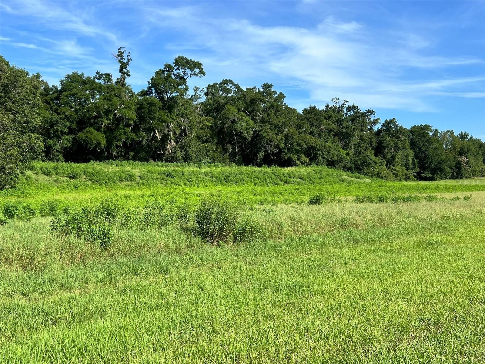 Land at 0 SE 8TH AVE #Lot 5, OCALA, photo 6 of 7