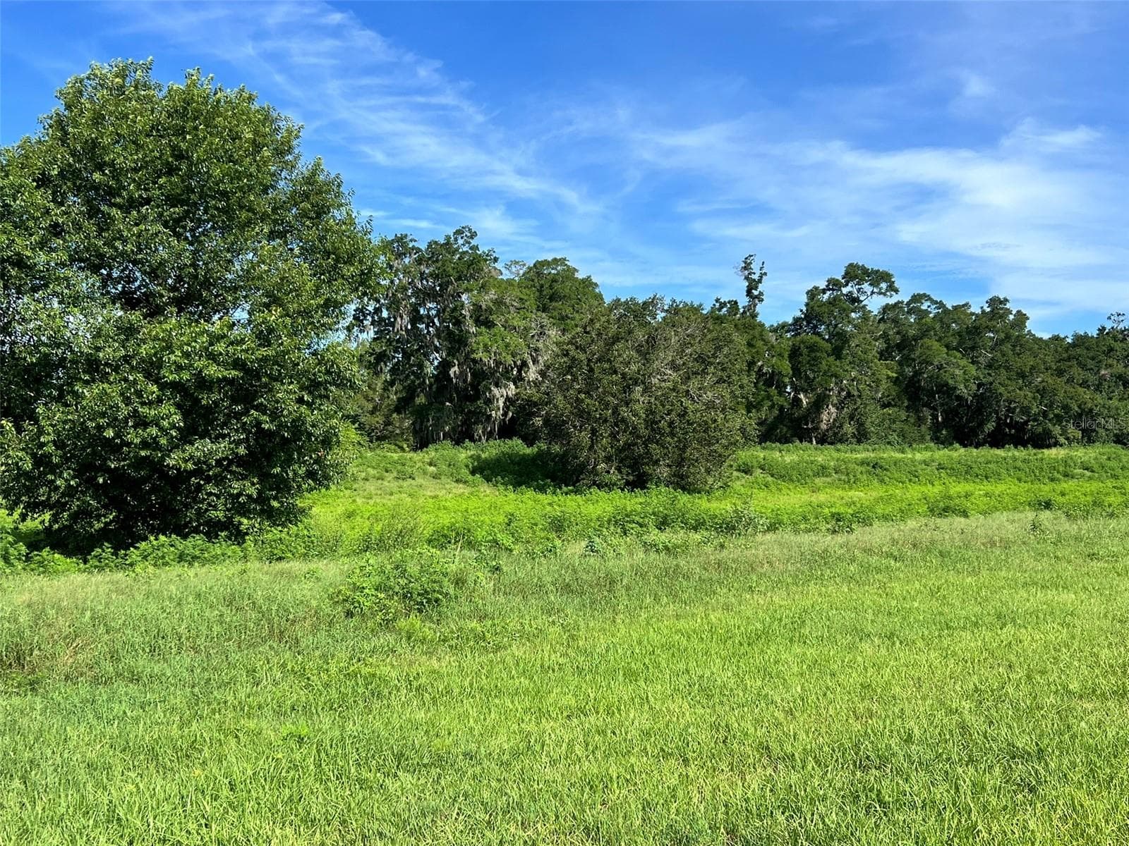 Land at 0 SE 8TH AVE #Lot 5, OCALA, photo 7 of 7